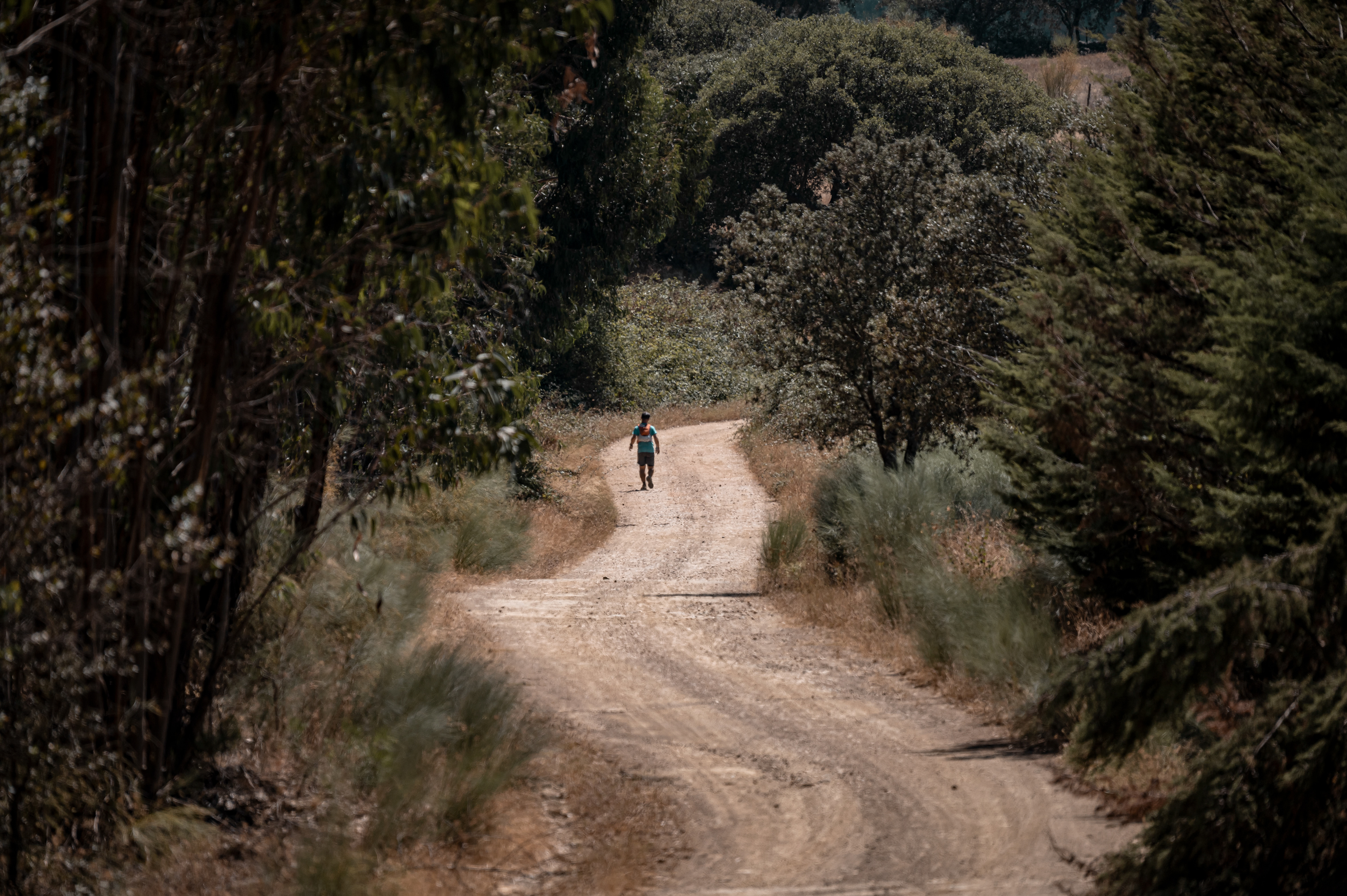 PT281 Ultramarathon