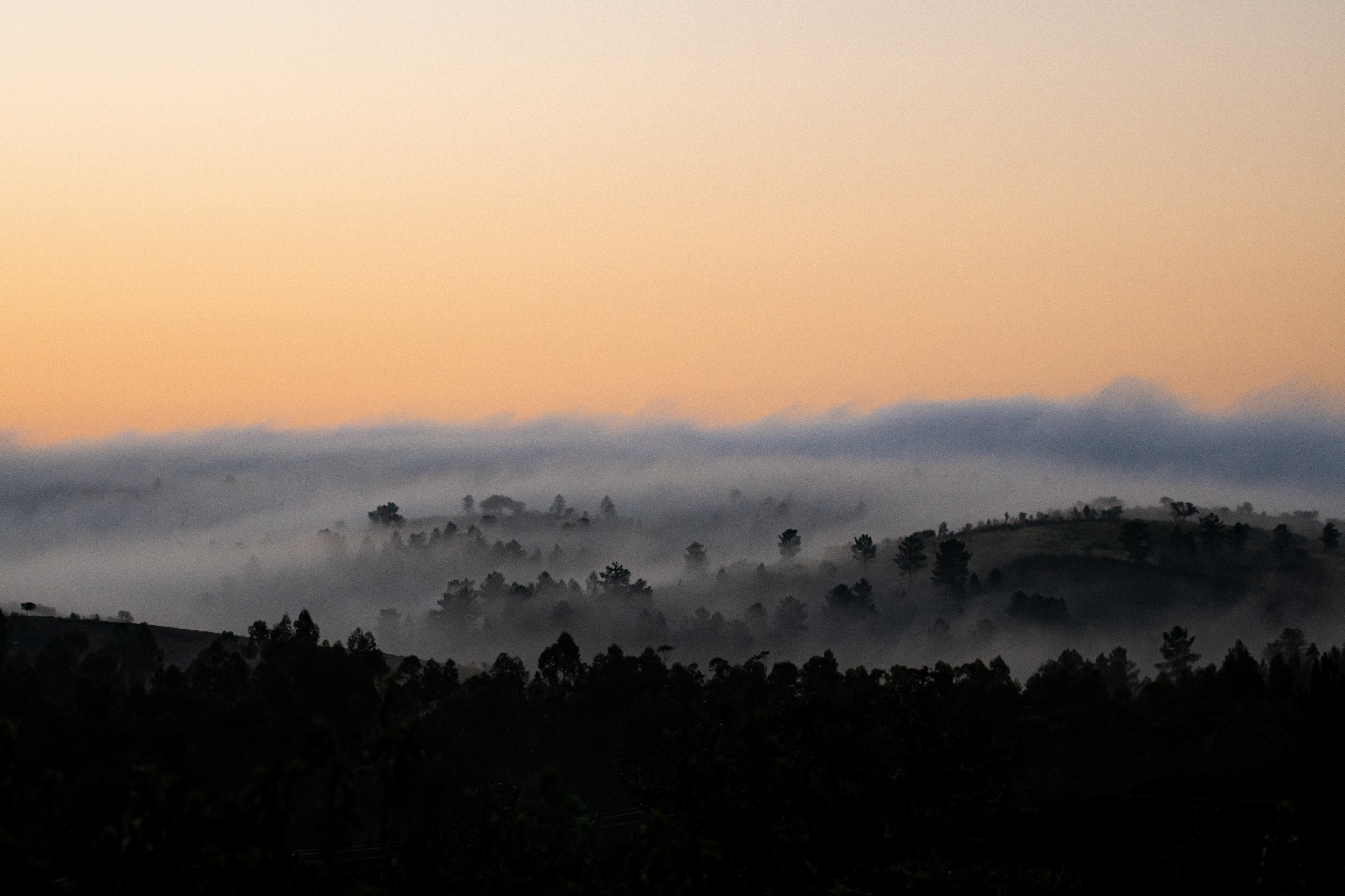 Portugal - Tejo International Natural Park