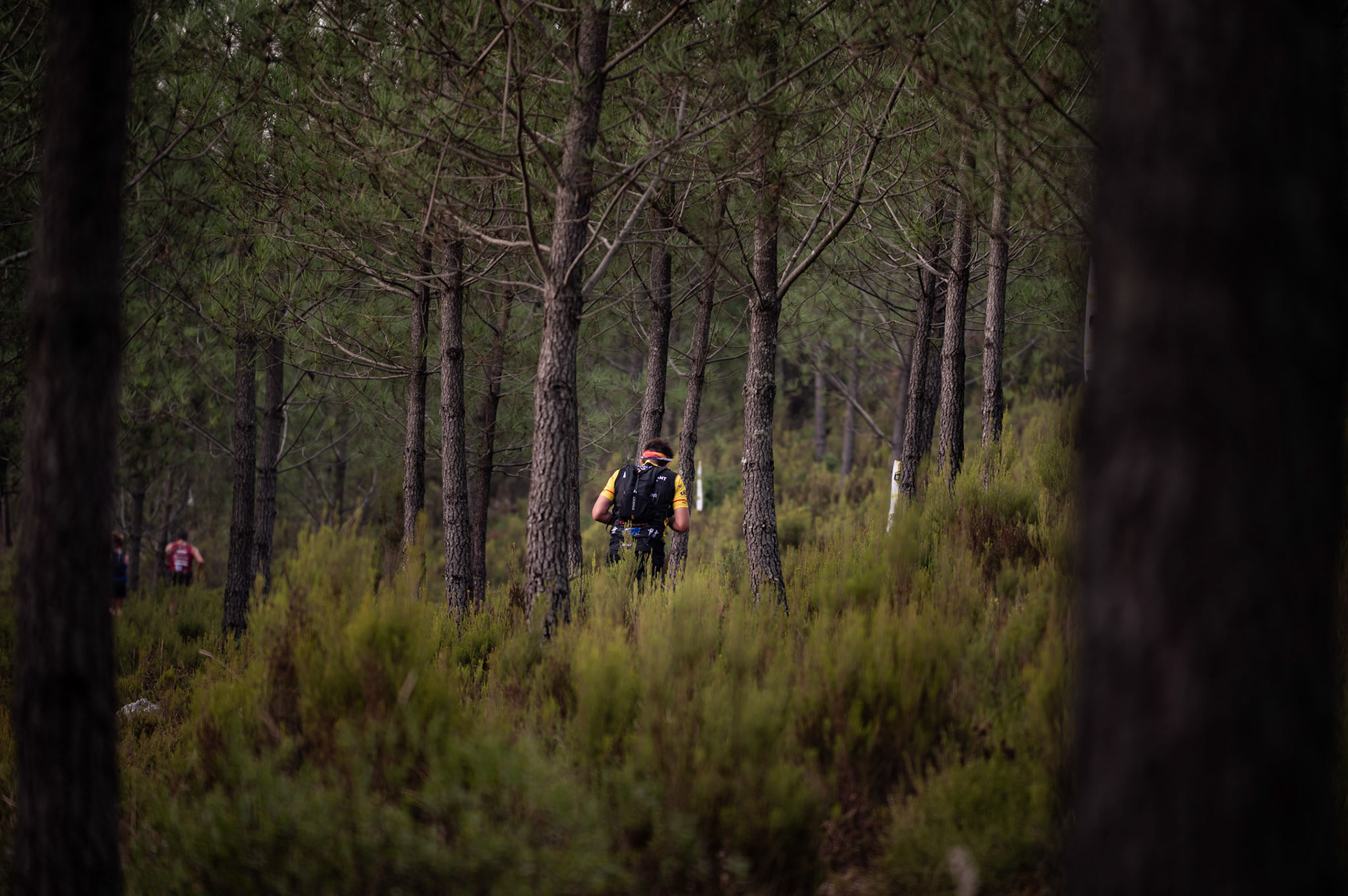 Trail Serra de Candeeiros