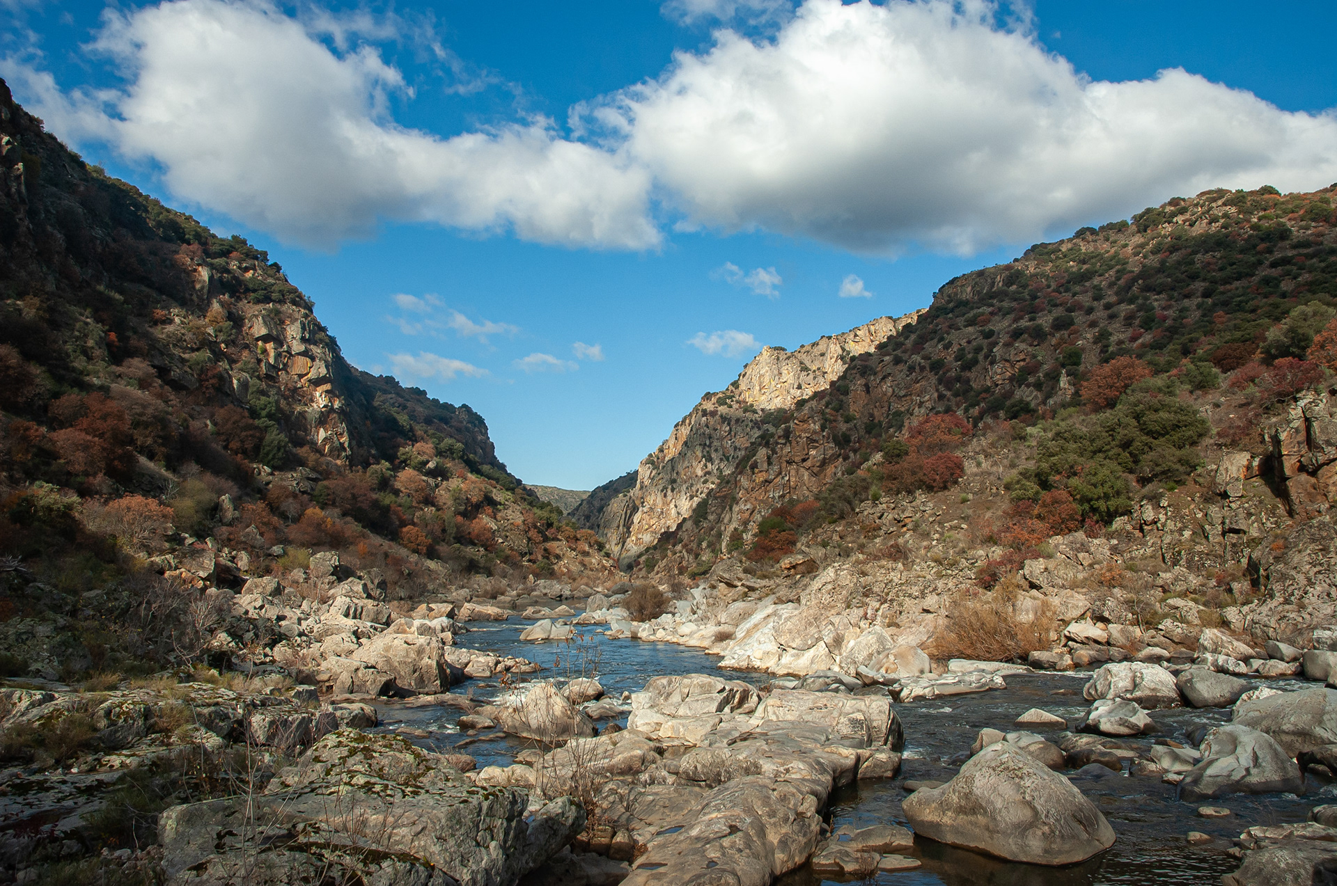 Portugal - Águeda river