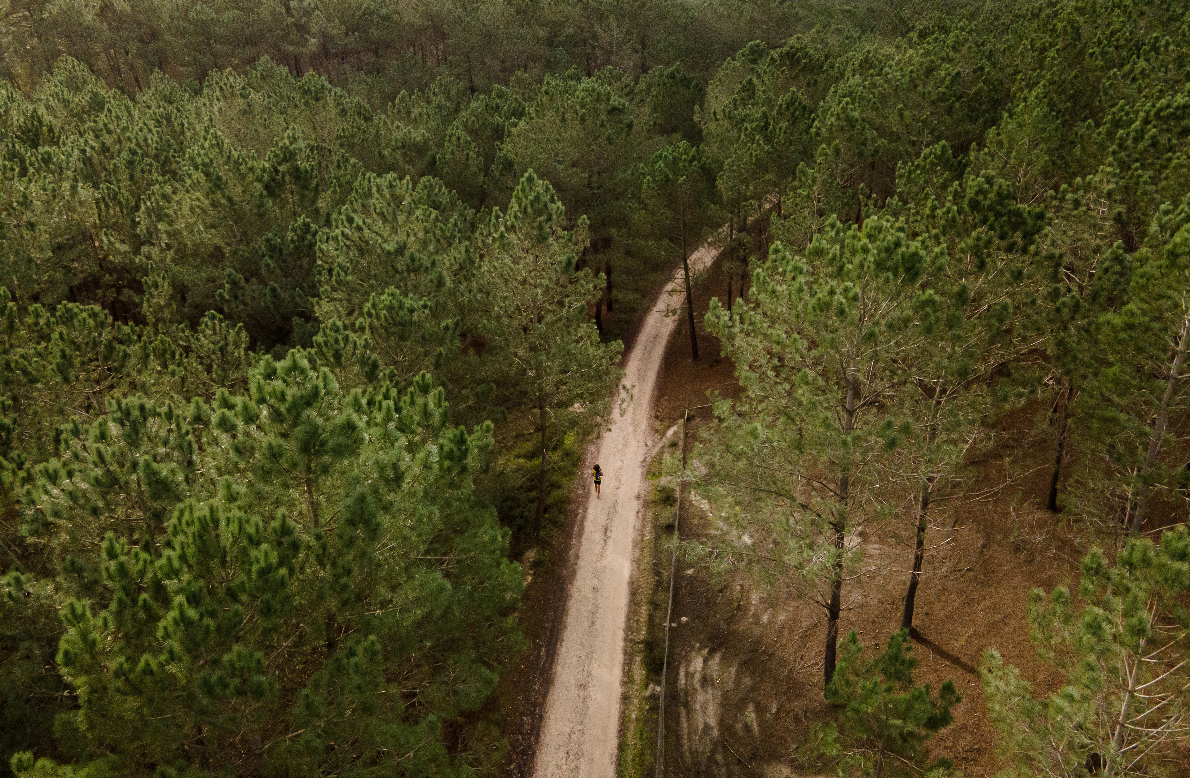 Terra de Gigantes Ultramarathon