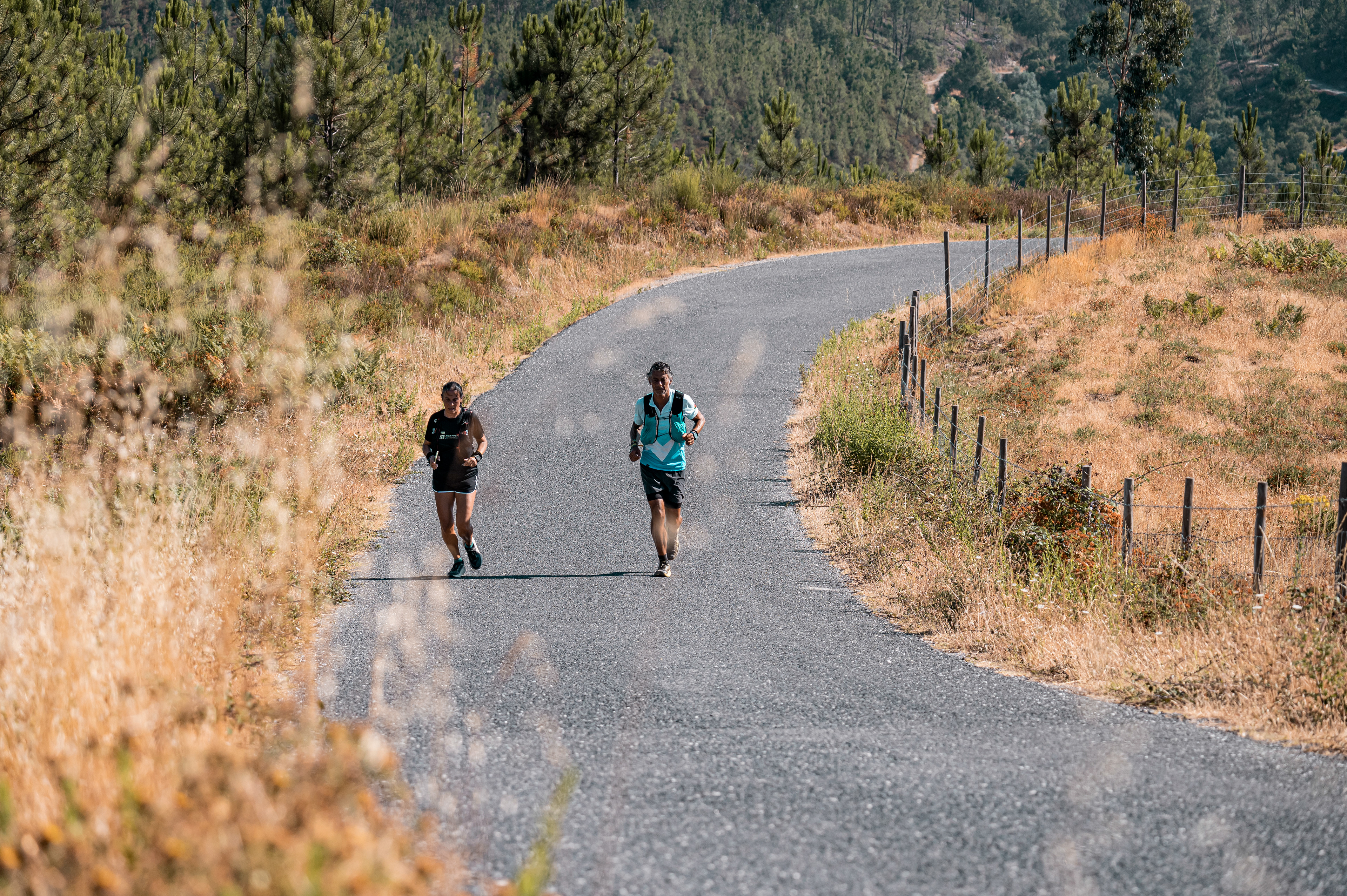 PT281 Ultramarathon