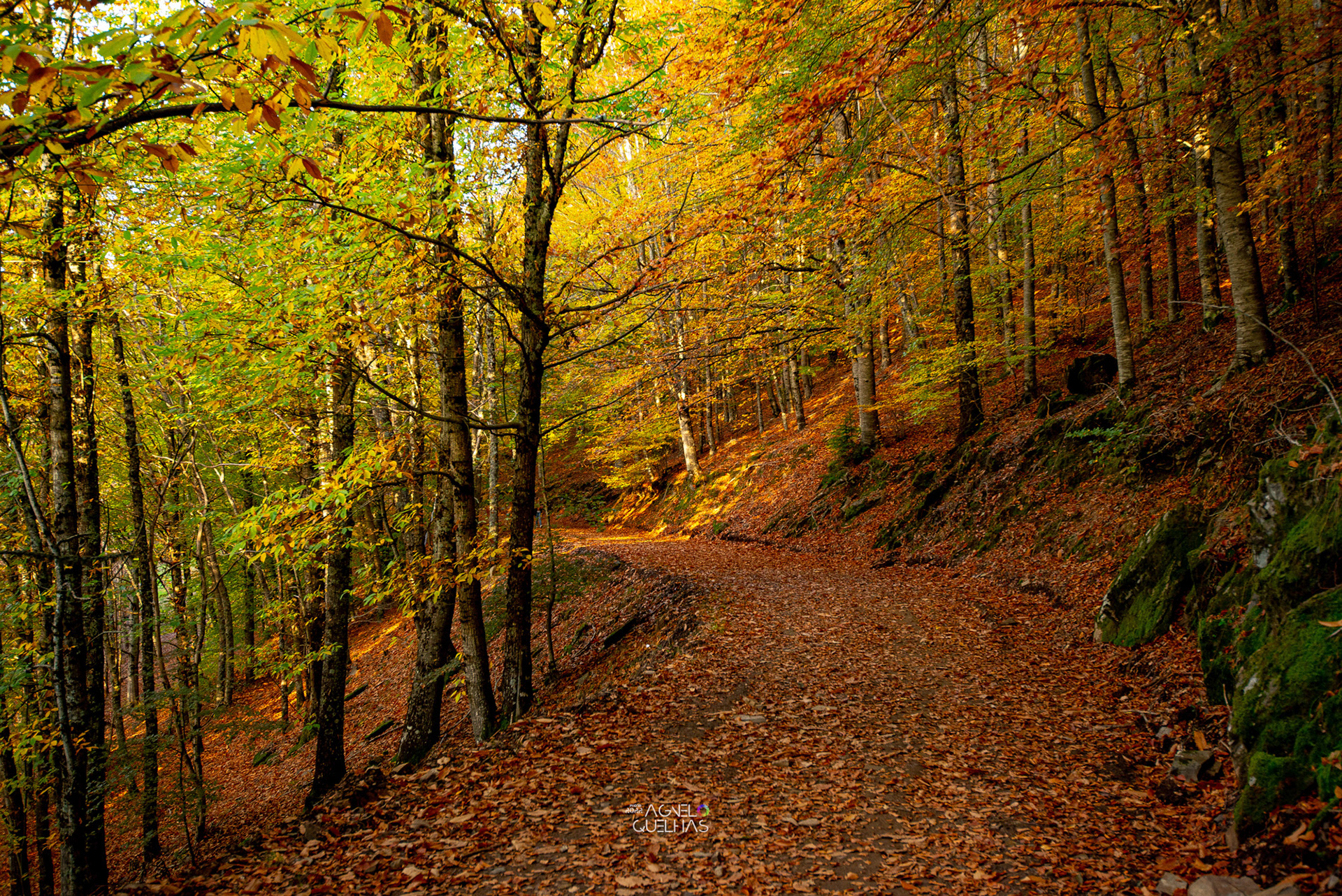 Portugal - Serra da Estrela Natural Park