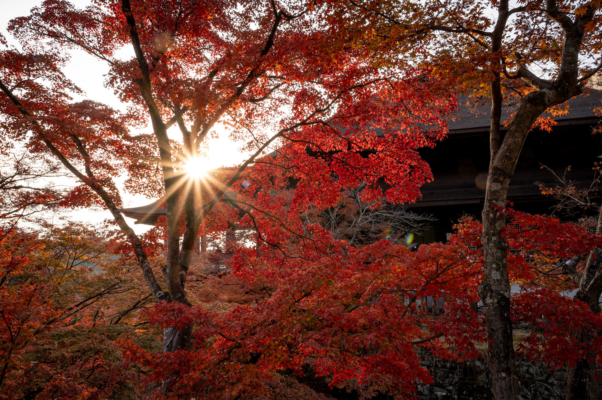 Japan - Kyoto