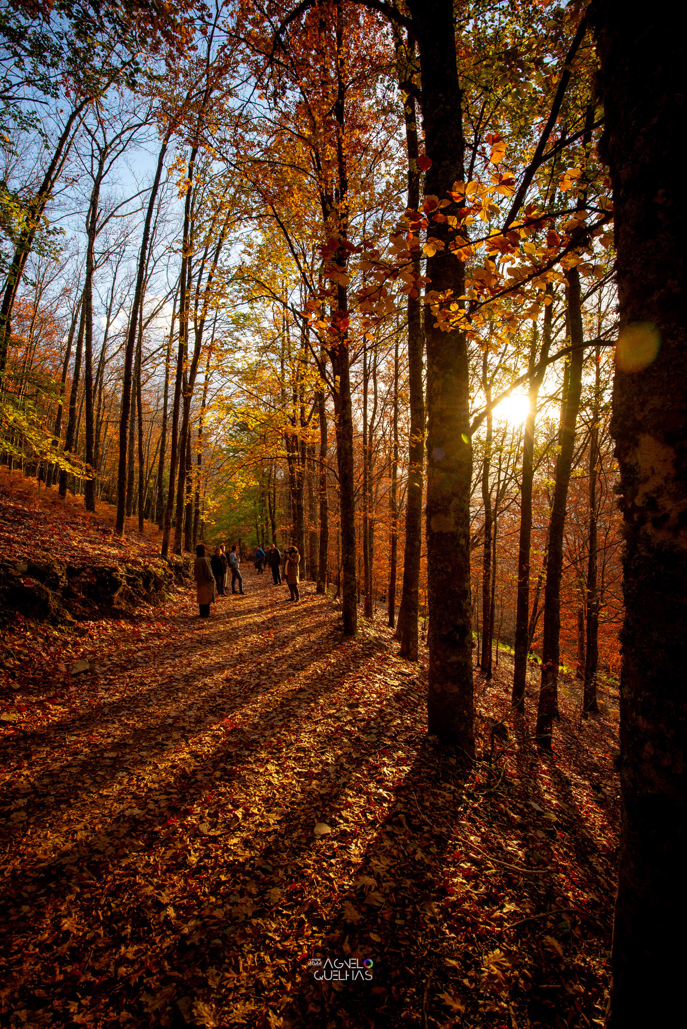 Portugal - Serra da Estrela Natural Park