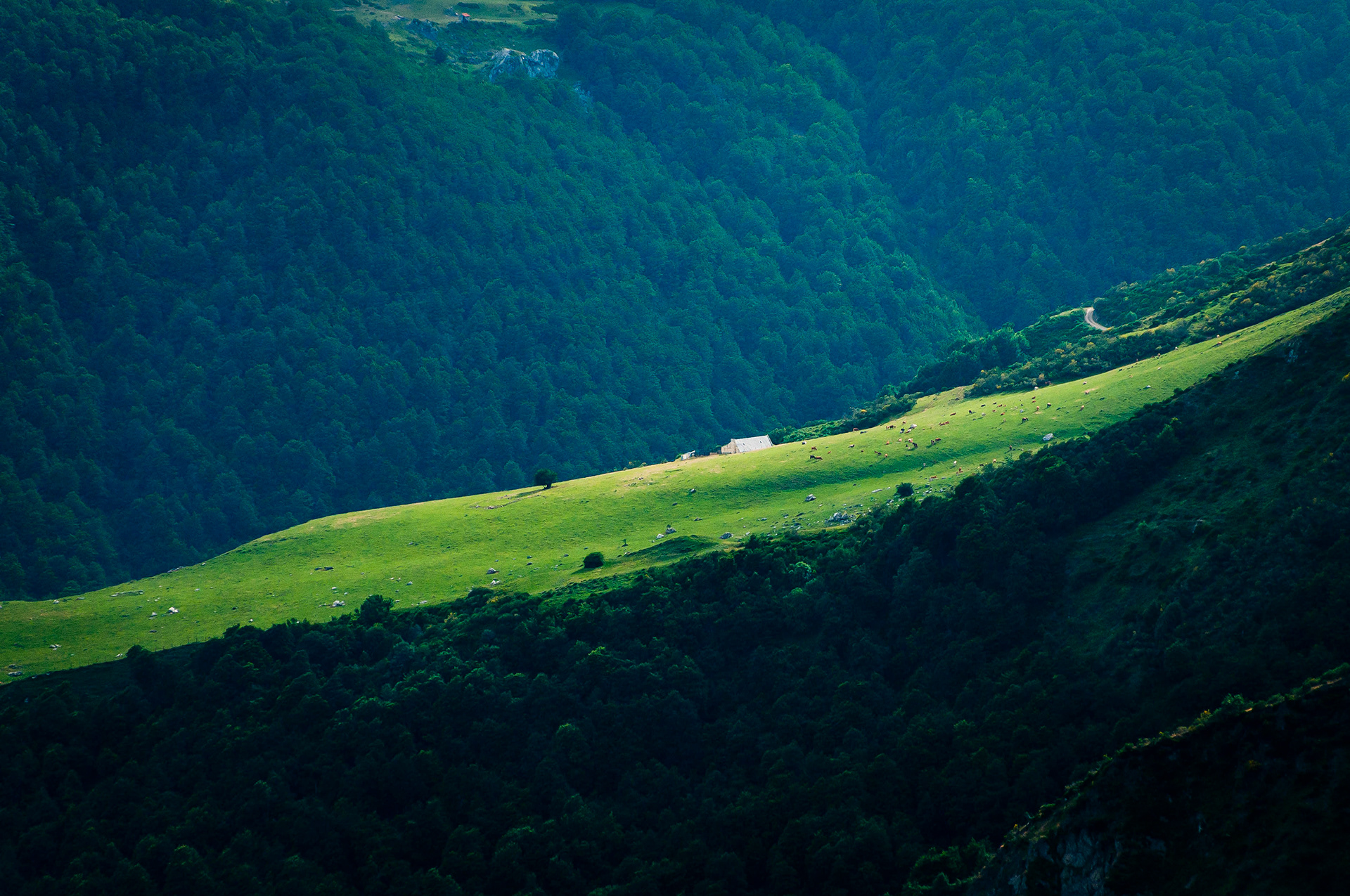 Spain - Picos de Europa Natural Park