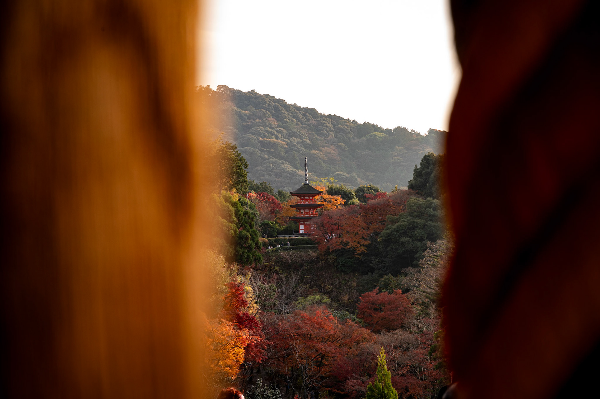 Japan - Kyoto