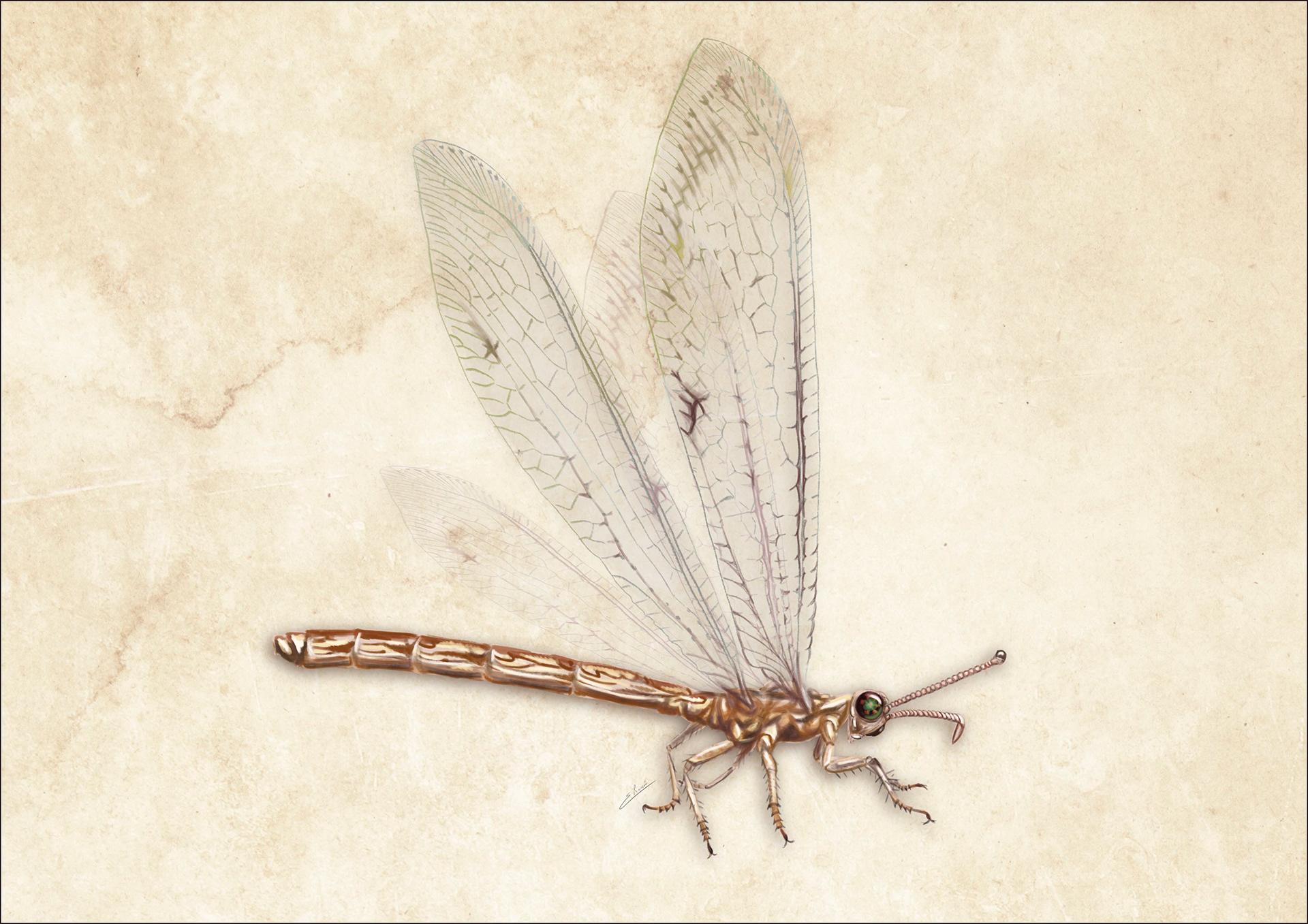 Neuroleon arenarius