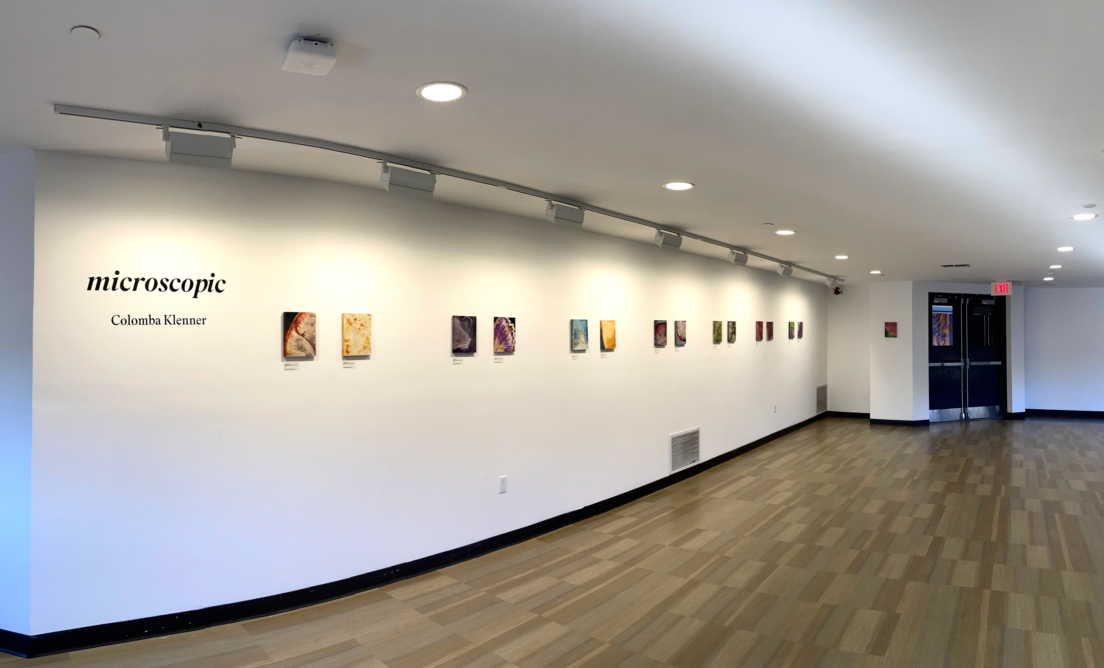 Microscopic Exhibition October 2023