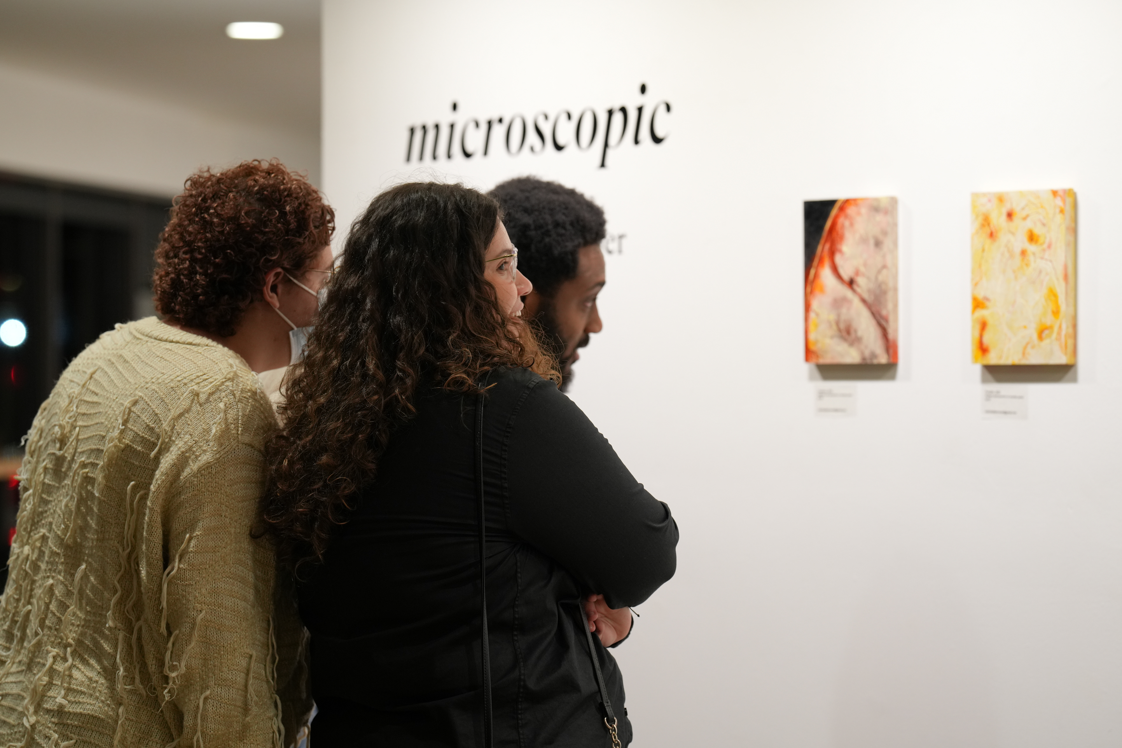 "Microscopic" exhibition reception at the Banana Gallery.