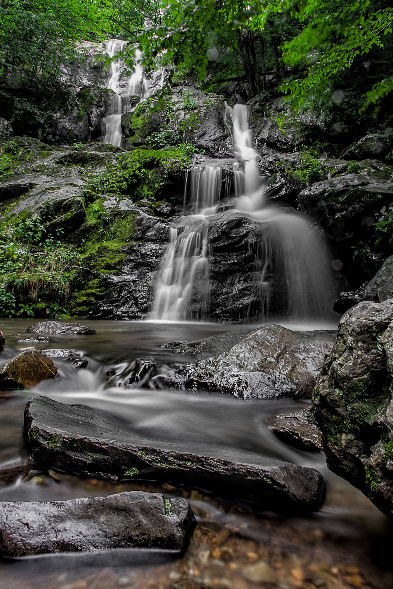 Dark Hollow Falls, Shenandaoh National Park