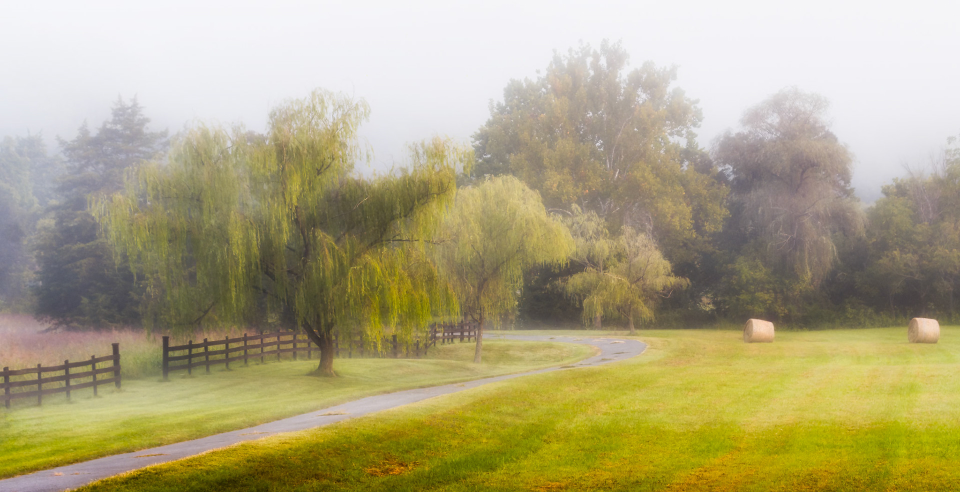 Riverside Farm on Rt 55 Foggy morning