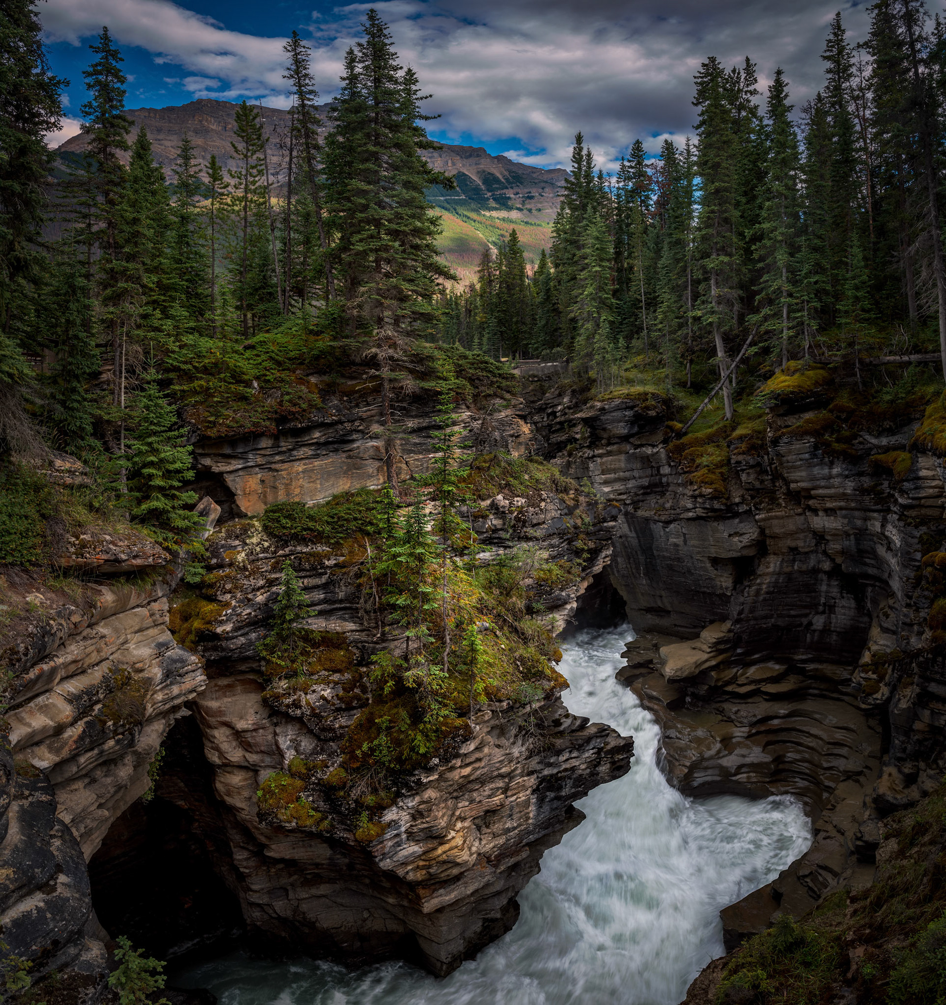 Athabasca Falls Canyon