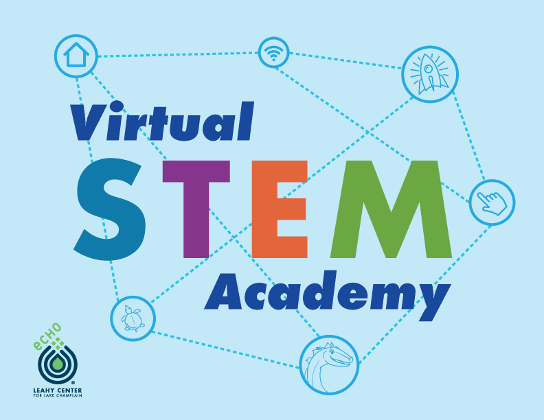 Branding for the Virtual STEM Academy a supplemental lesson program to educate virtual at home learning students with certified science curriculum