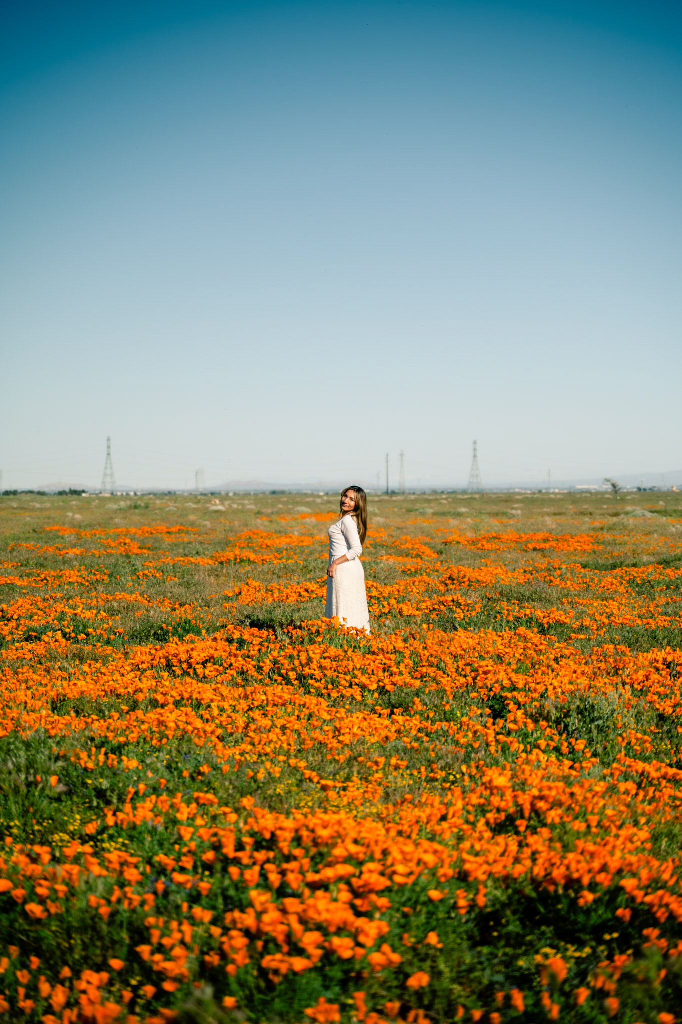04/16/24 Poppies