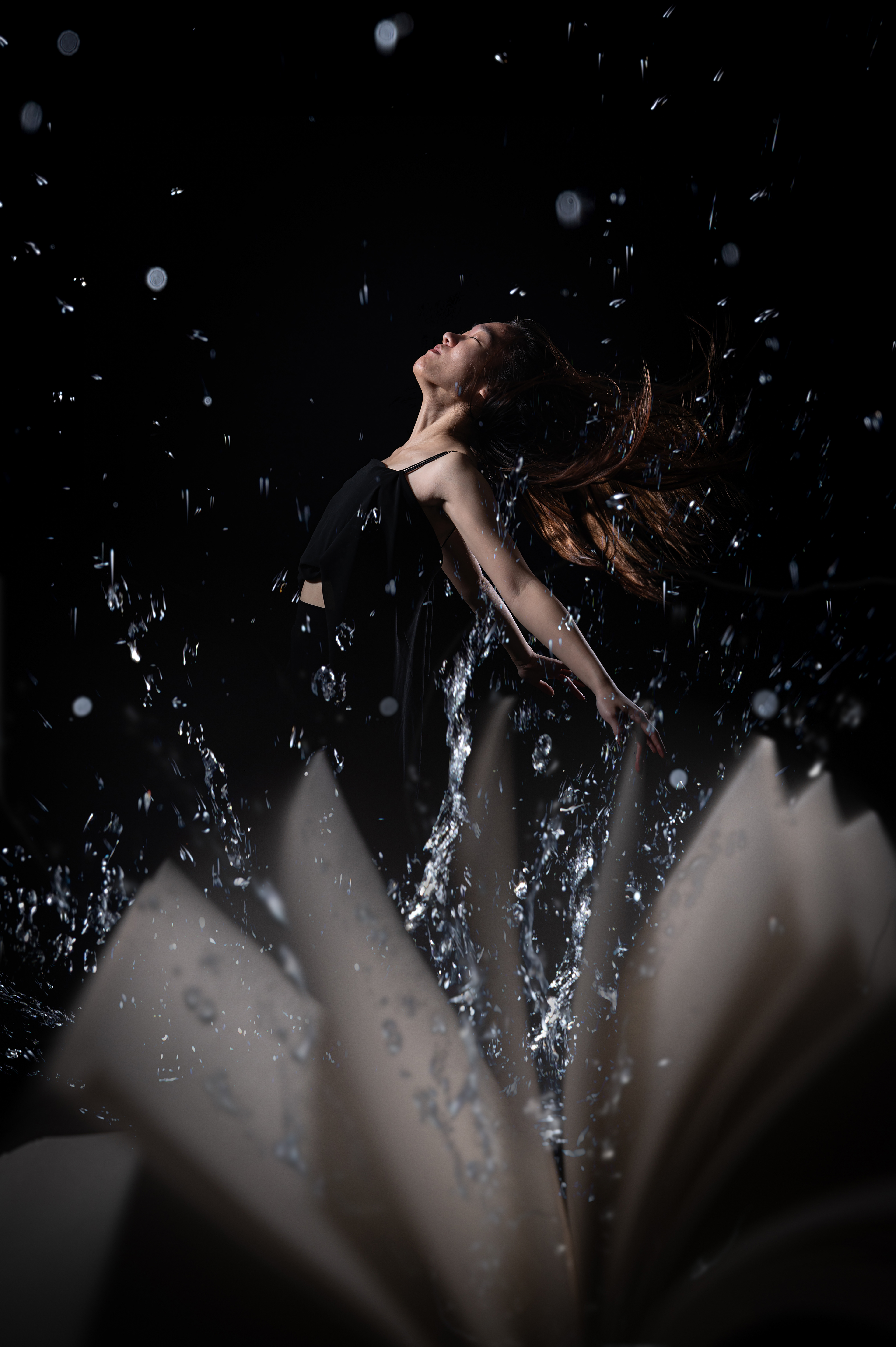 Emergence