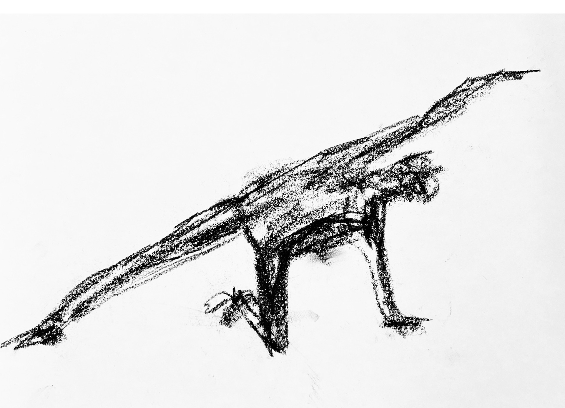 2 minute sketch / charcoal