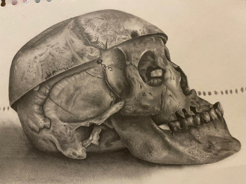Skull 2 (2021)