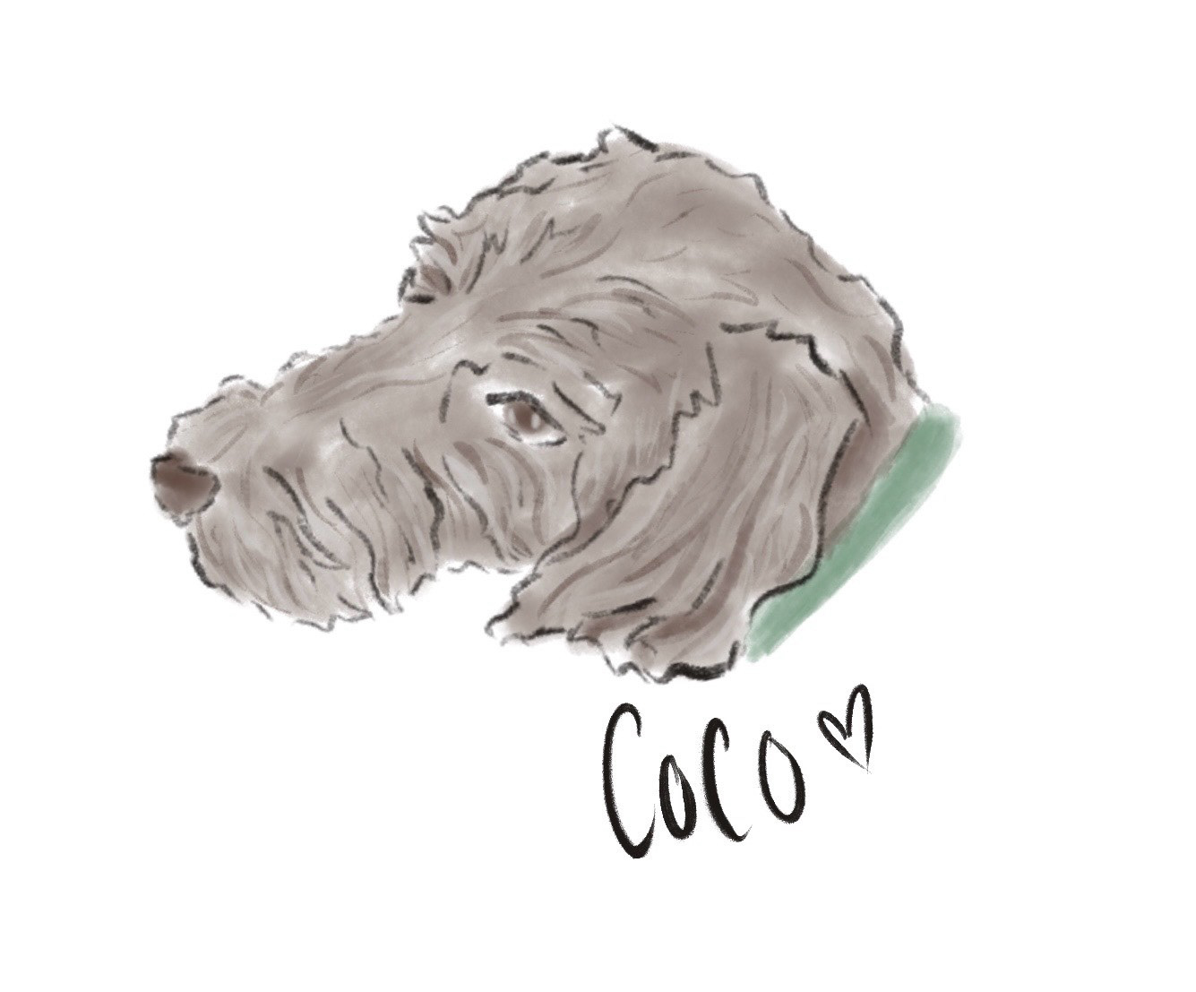 Digital Drawing - Dog (2024)
