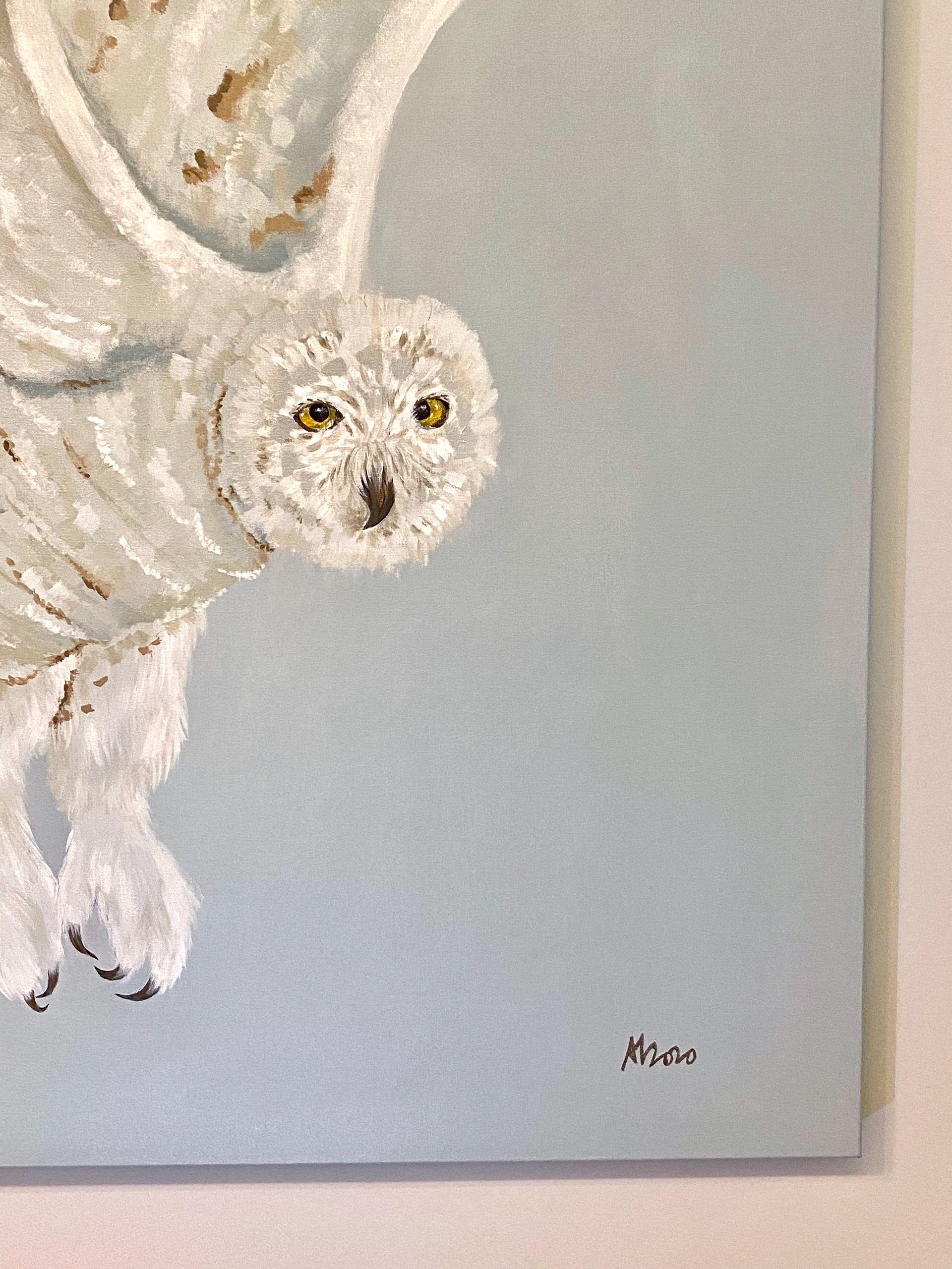 Bubo scandiacus 2020