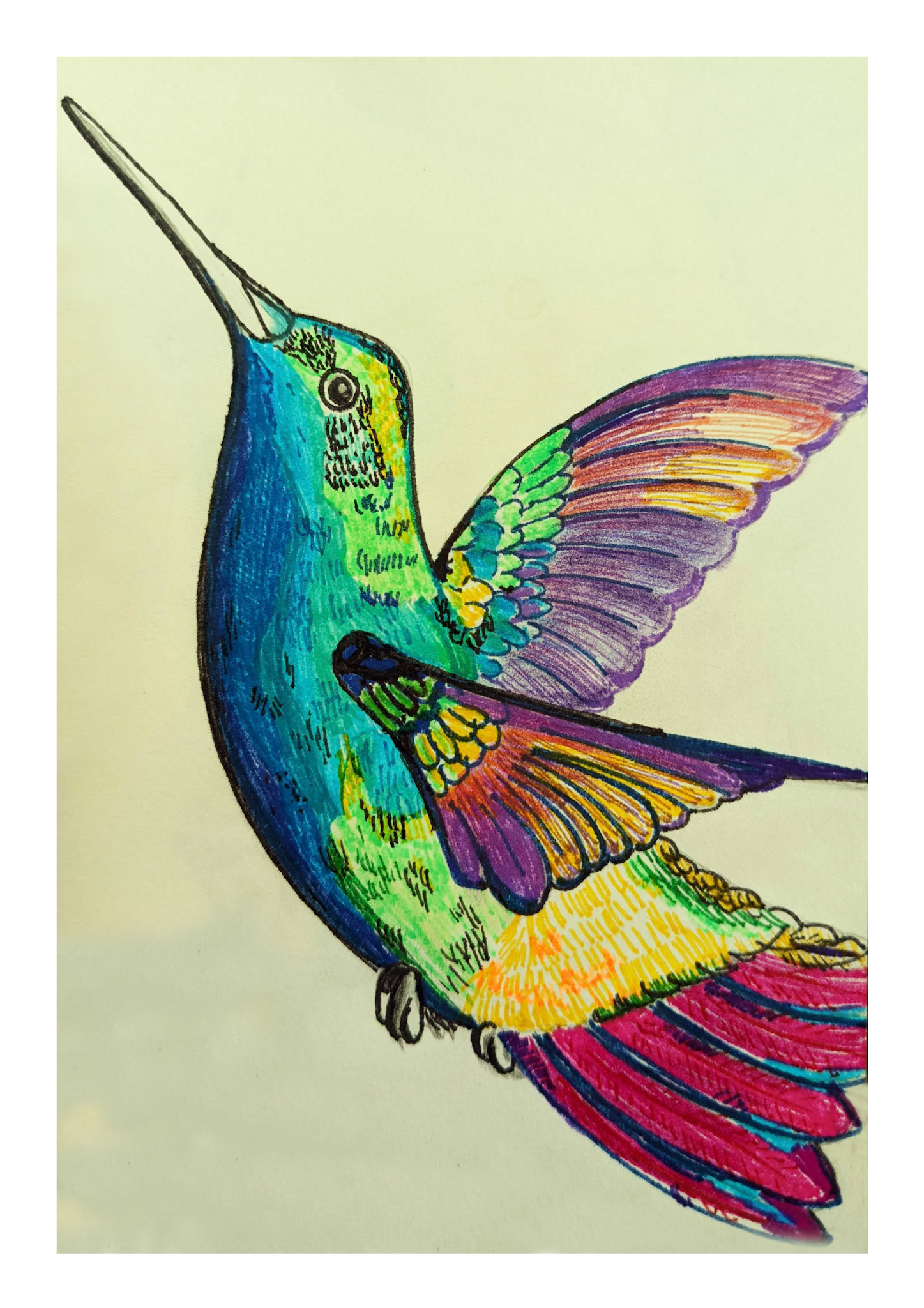 Picaflor - fine liner
