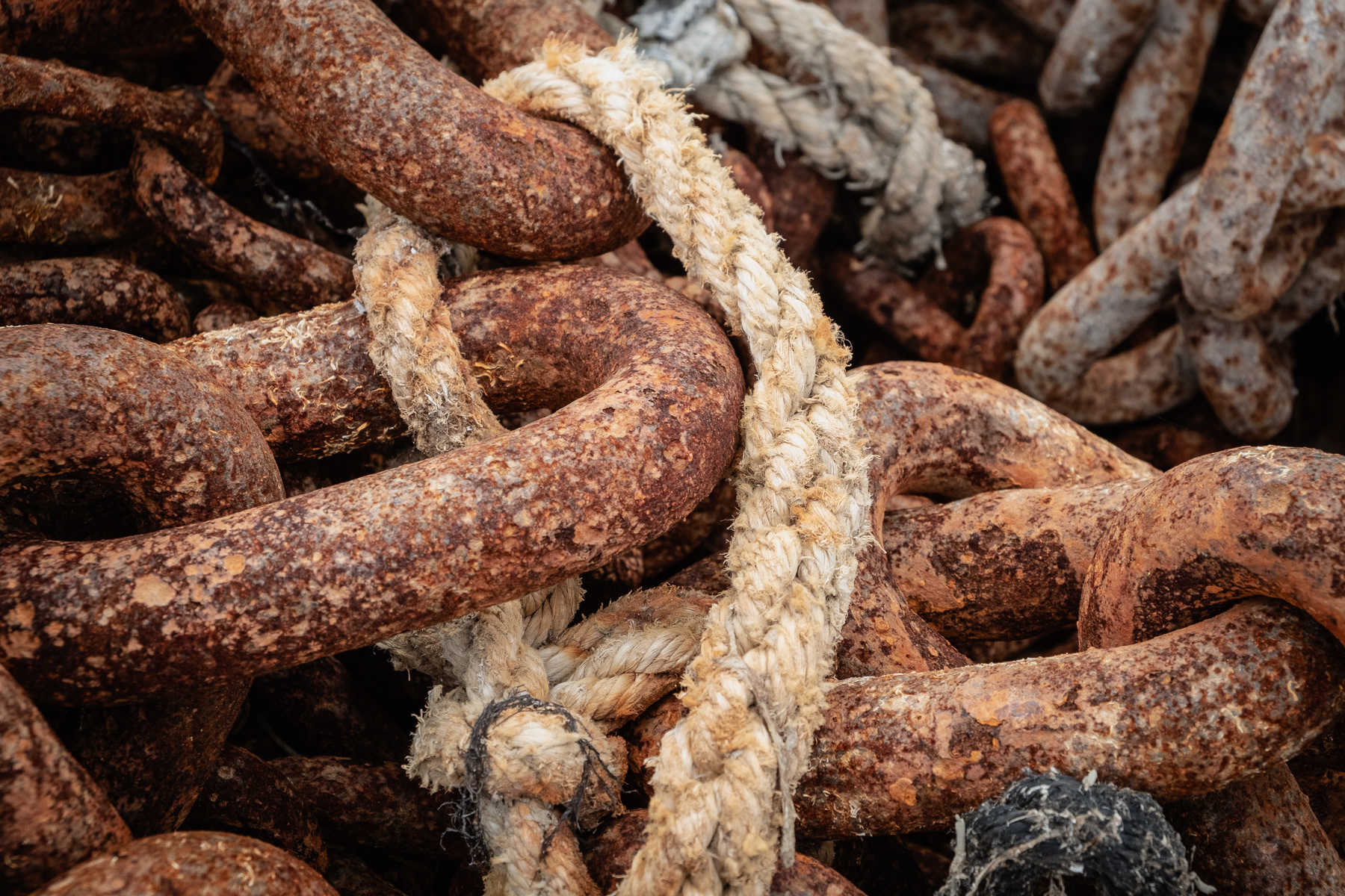 Detail of chains and robes in the harbour of Zierikzee, August 2023.