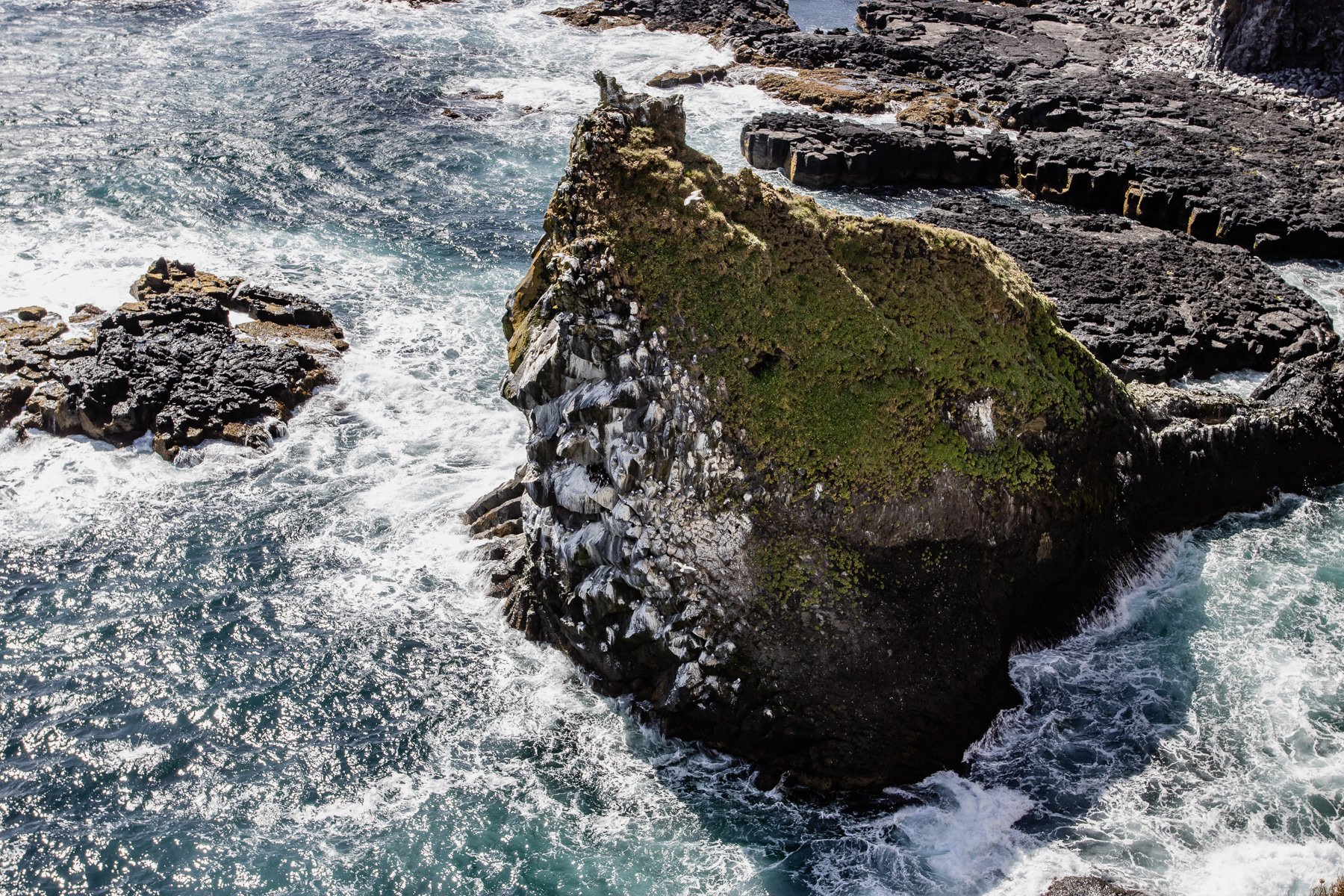 Looking at the rocky coast of Snæfellsjökull National Park.