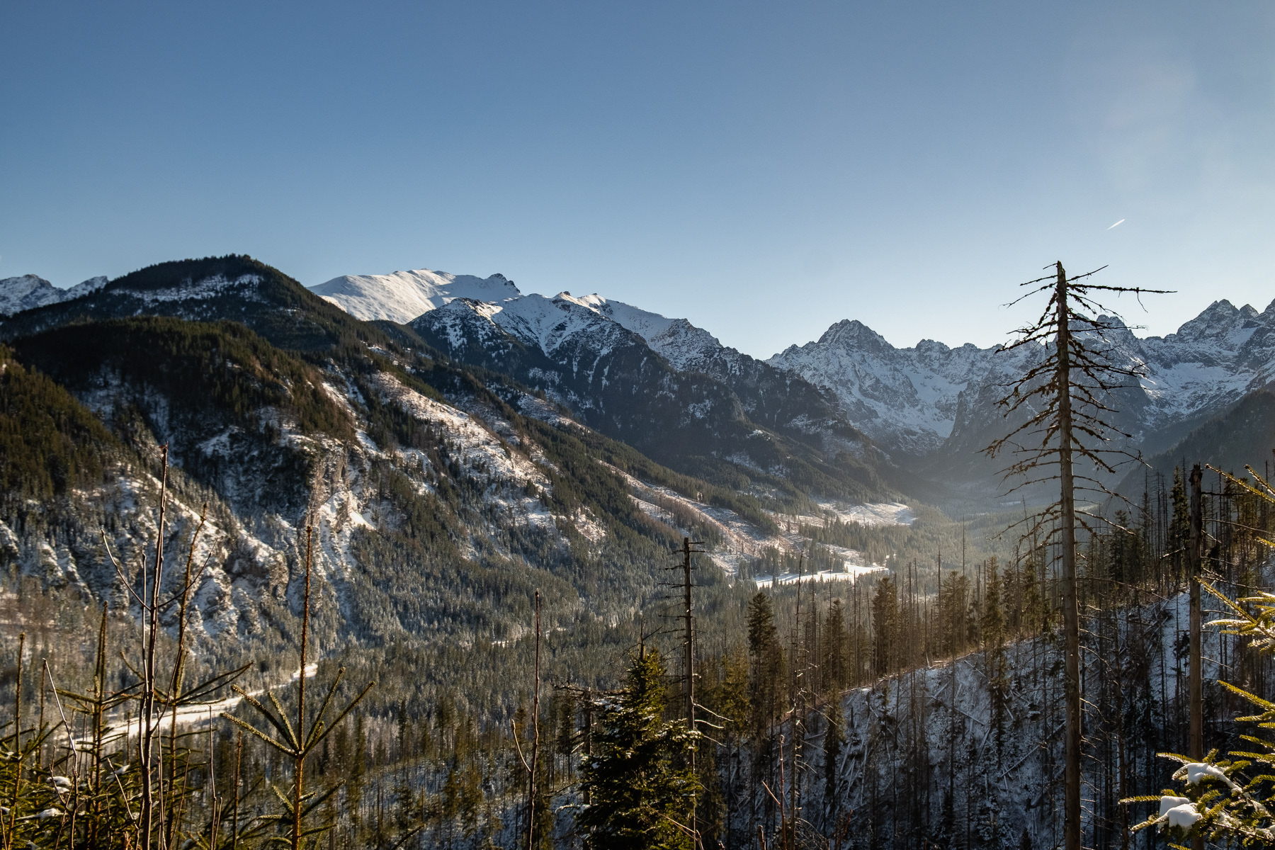 View into the valley roughly halfway up to Rusinowa Polana, December 2025.