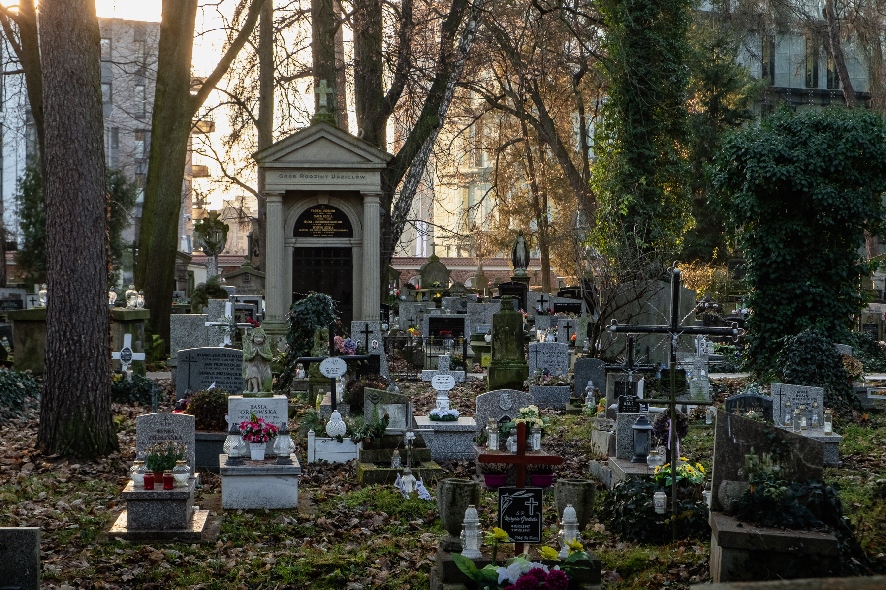 Cemetarz Rakowicki, Kraków, December 2025.