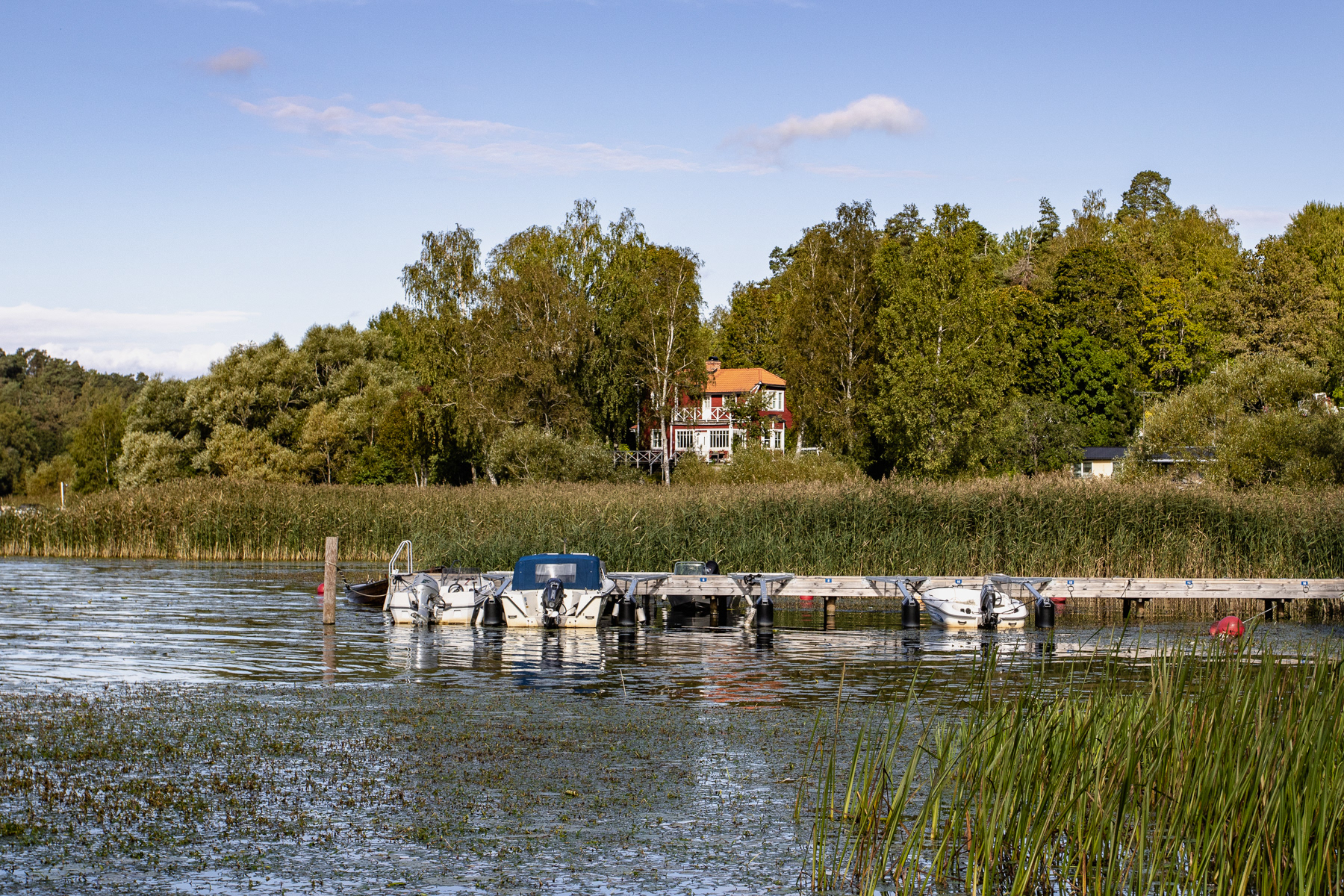 At lake Ekoln, September 2025.