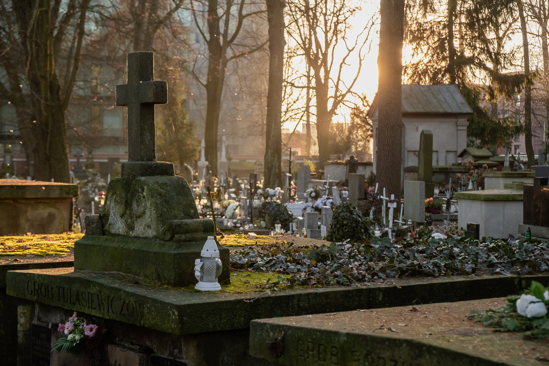 Cemetarz Rakowicki, Kraków, December 2025.