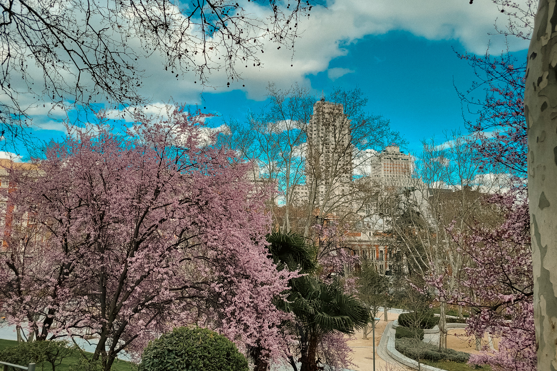 View at Torre de Madrid and Spain Building from Parque del Oeste