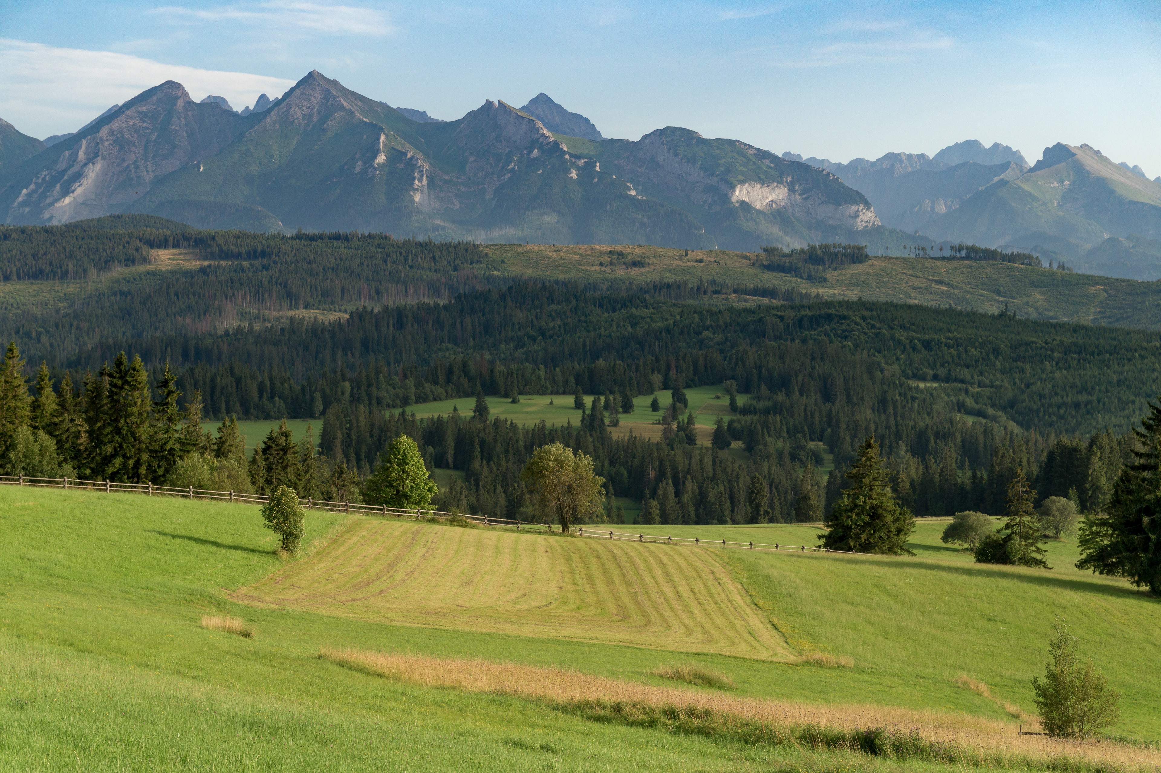 The view at the Slovakian Tatras from Łapszanka on a clear day, August 2017.
