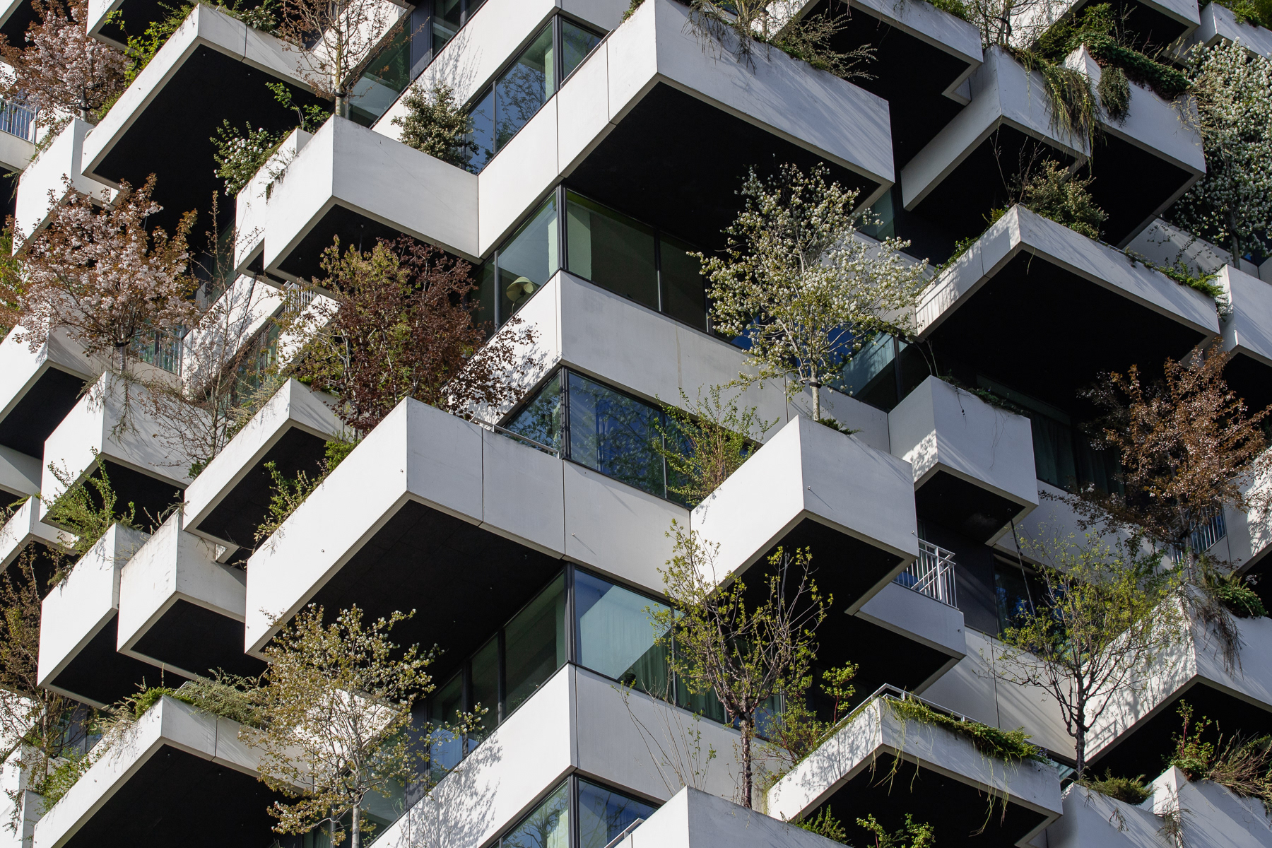The Trudo Vertical Forest