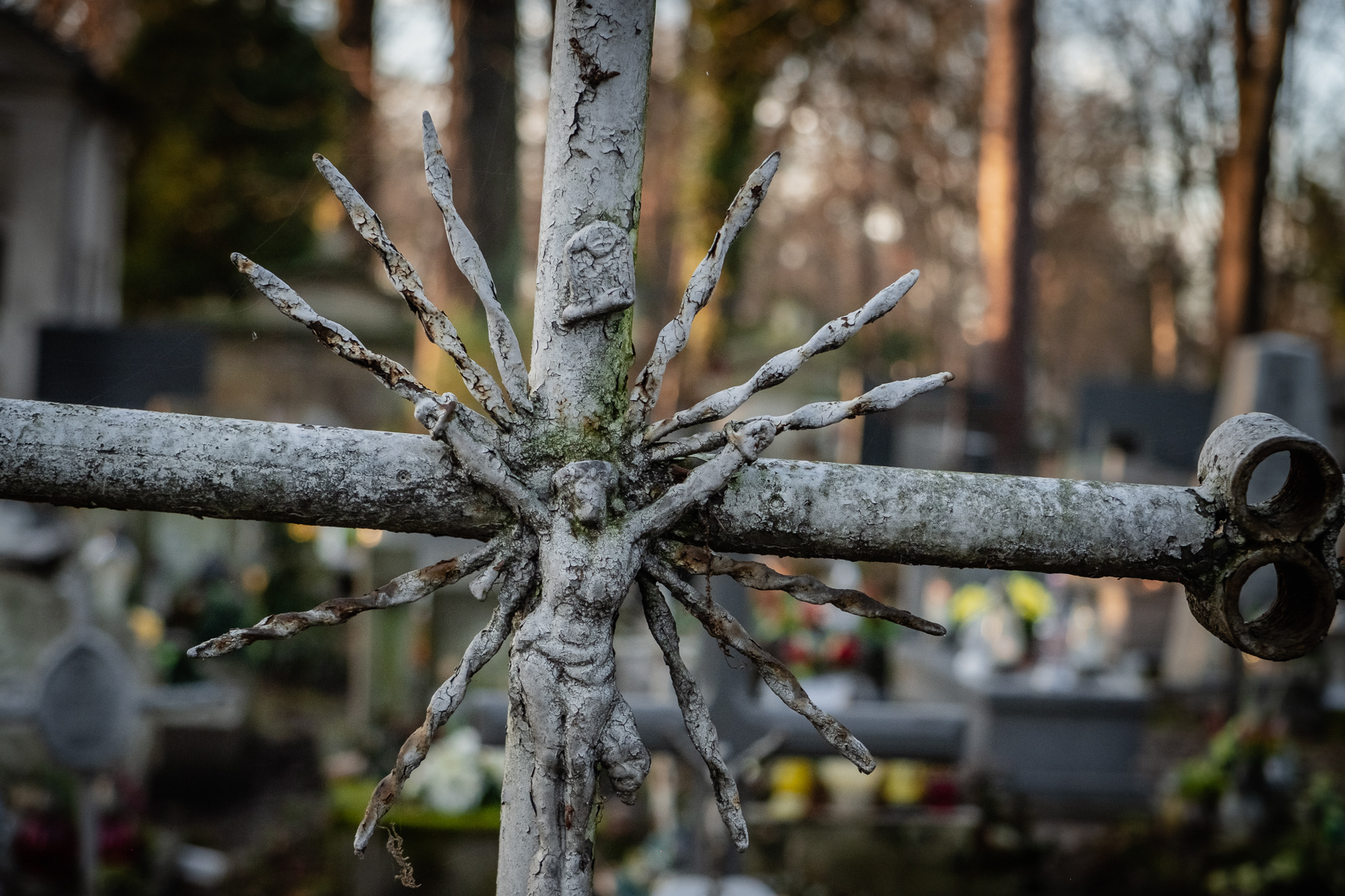 Cemetarz Rakowicki, Kraków, December 2025.