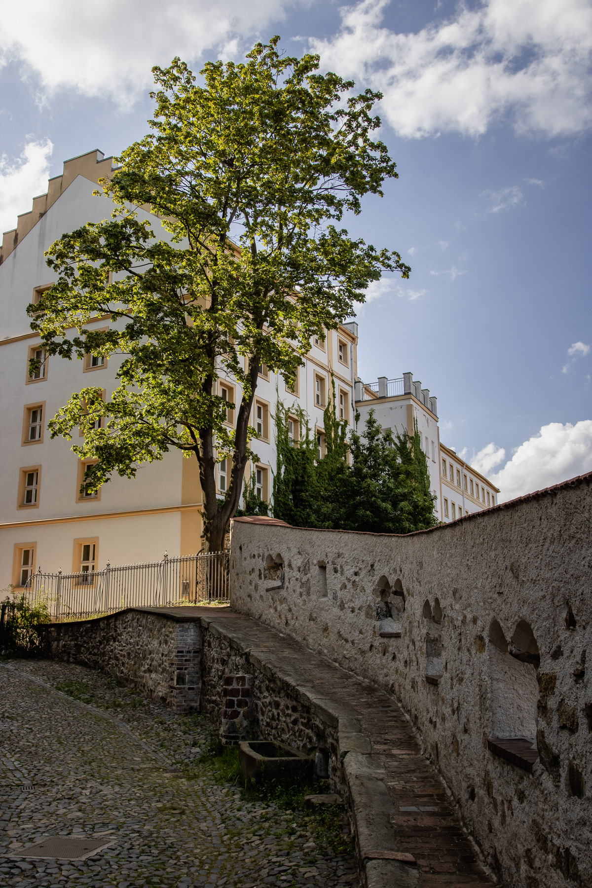 Cobblestone street up next to the church in Görlitz