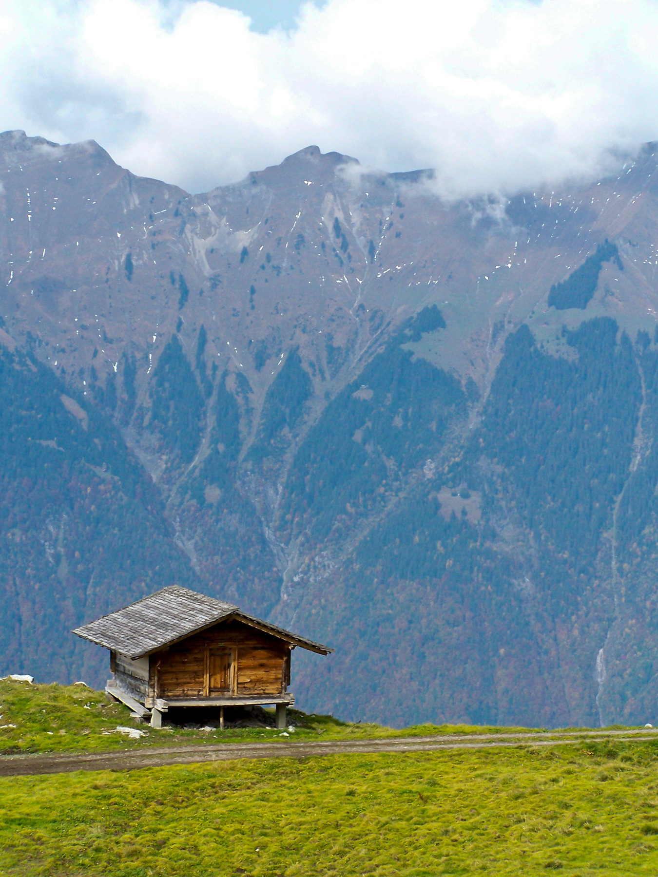 A small wooden storage house.