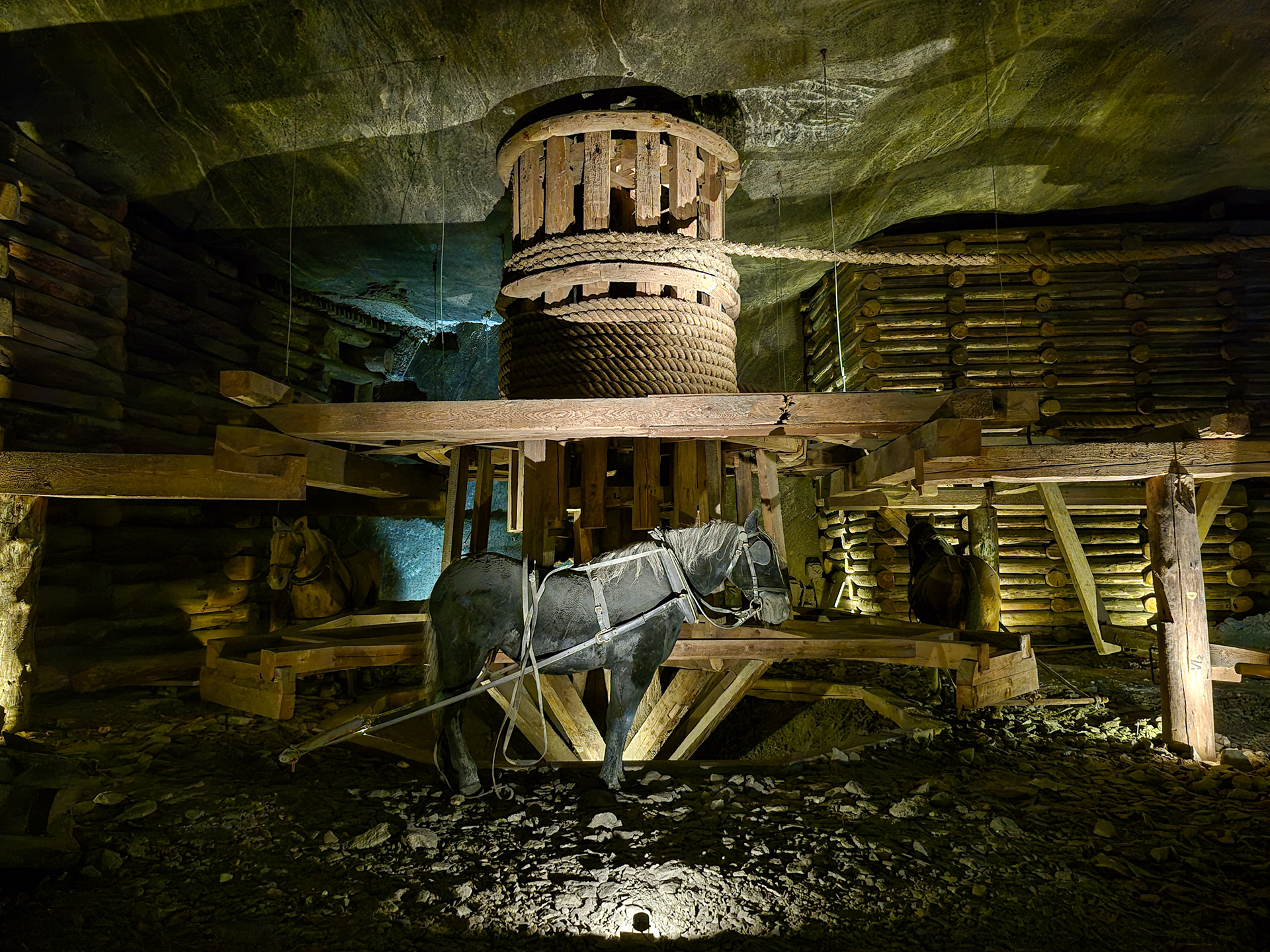 Horses were essential for heavy work in the mine. They stayed 6 years underground, while the miners went up every day.
