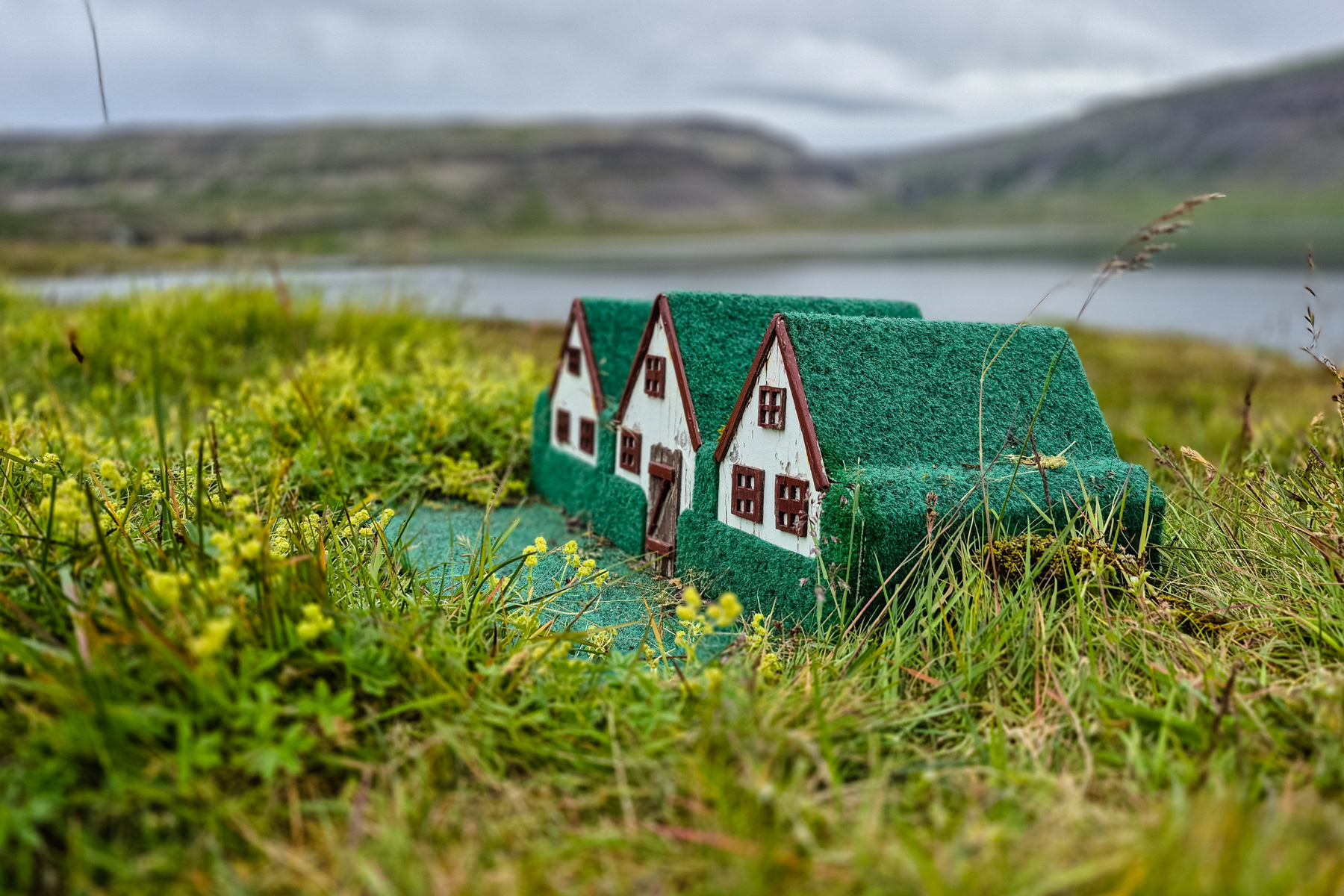 Elf houses, always have a good word for its inhabitants.