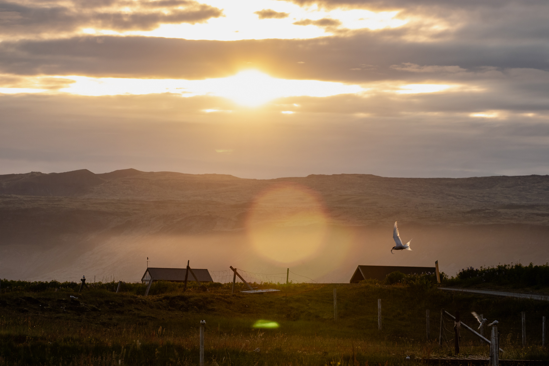 Sunset in Ölfus, Suðurland, Iceland