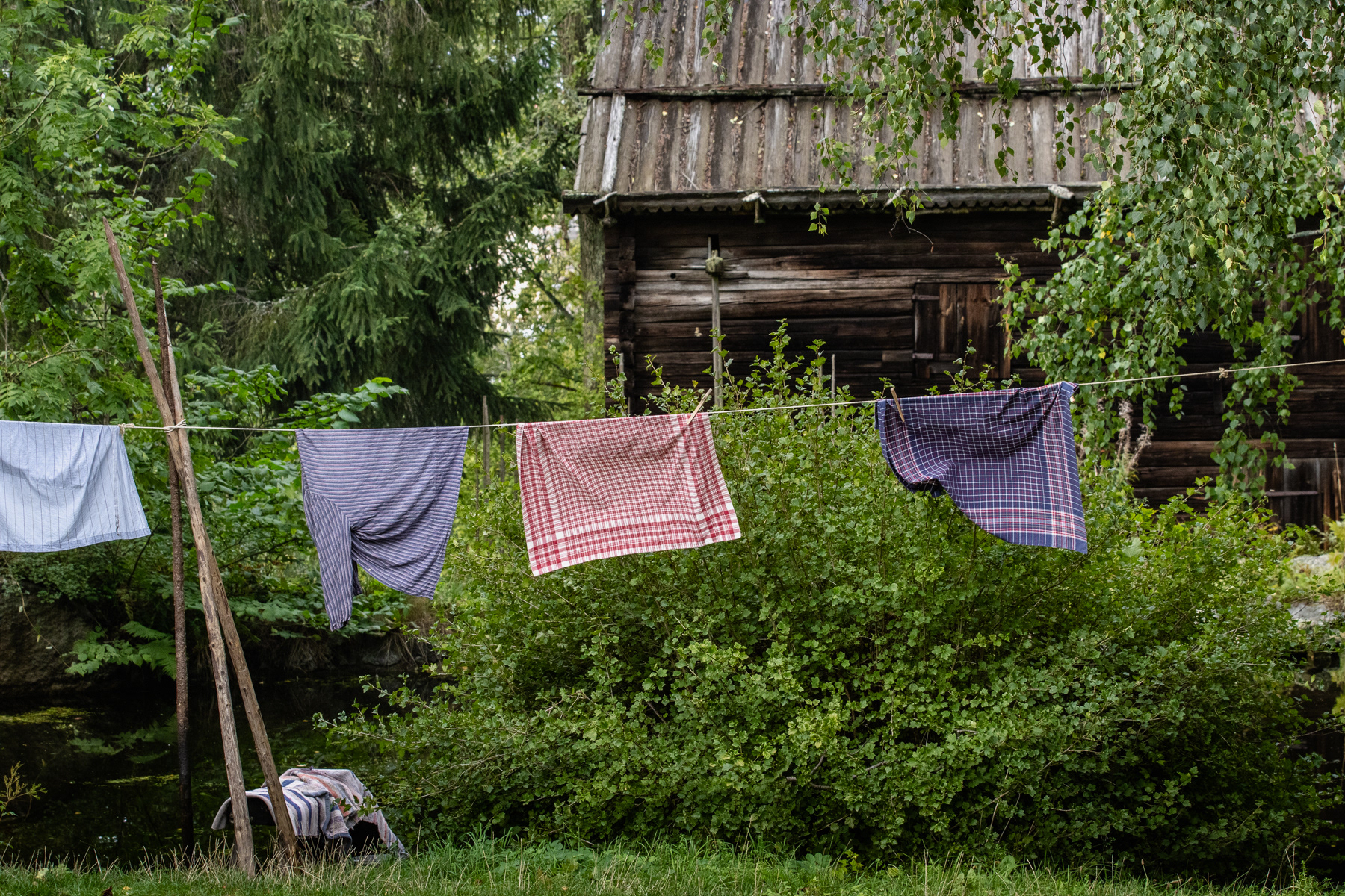 Hanging out to dry.