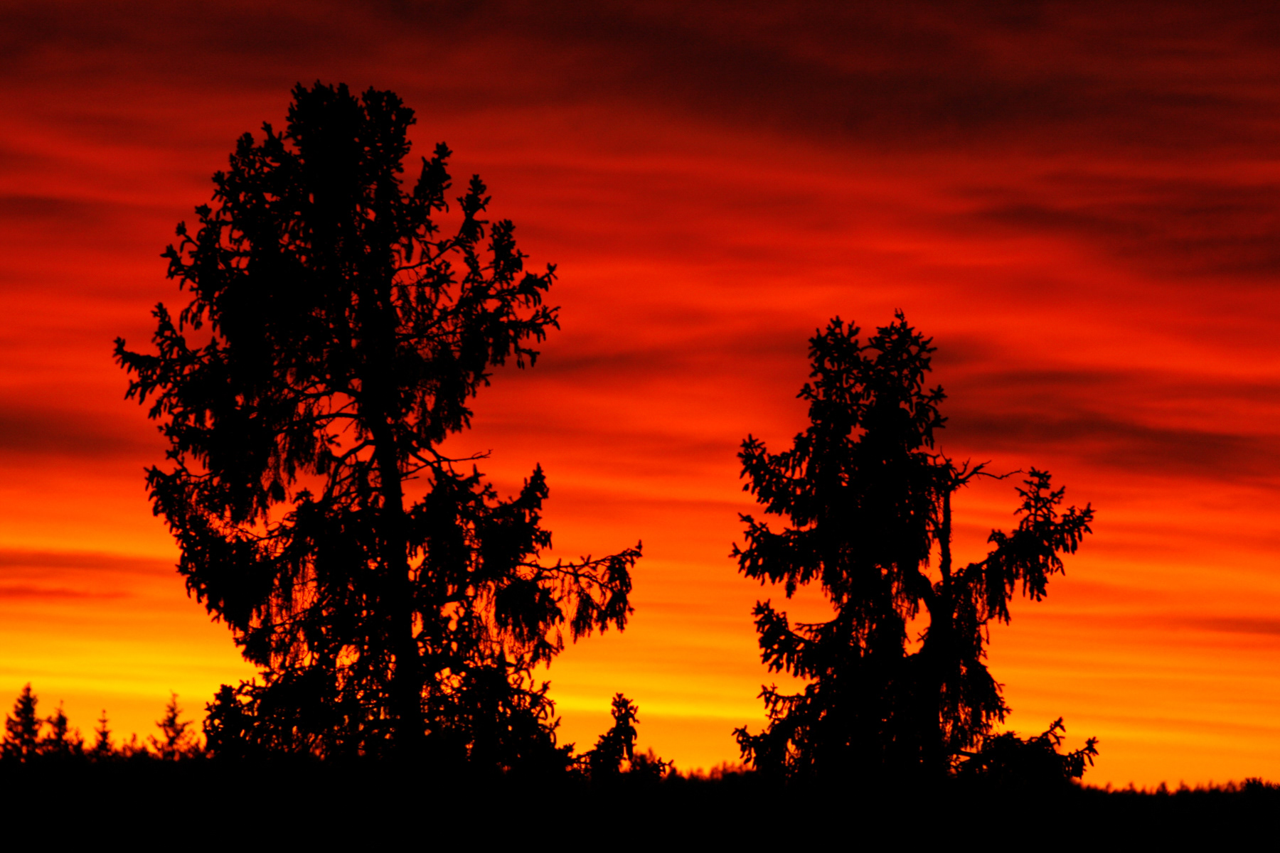 Sunset seen from the window of my home in Gävle, December 2007.
