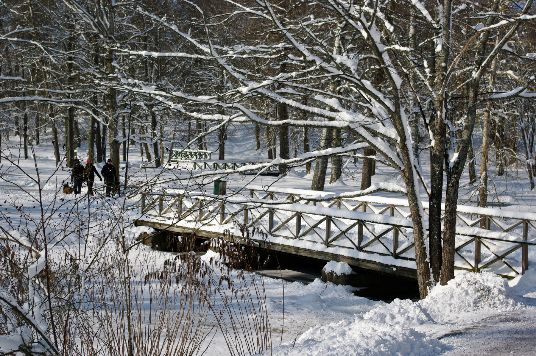 Winter in Boulognerskogen, March 2008.
