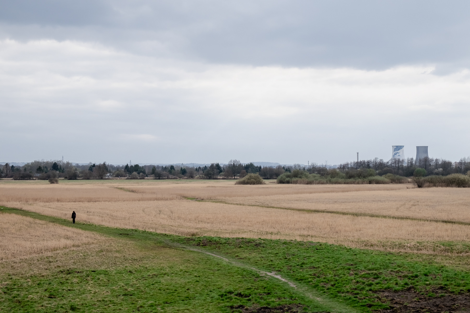 The marshlands of Nowa Huta that seperate it from the rest of Kraków (Łąki Nowohuckie w Krakowie).