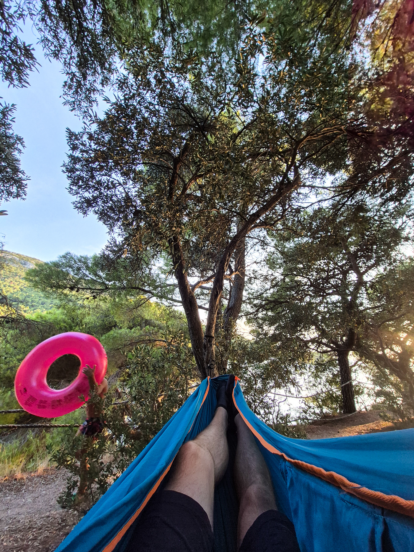 Relaxing in the hammock, threatened by a pink donut.