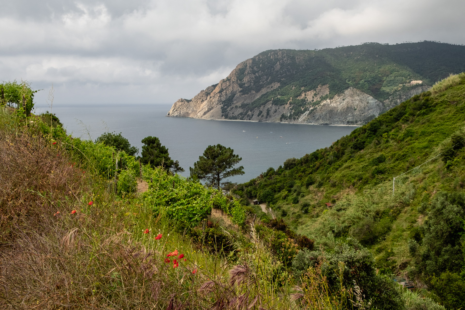 Hiking trail to Vernazza..