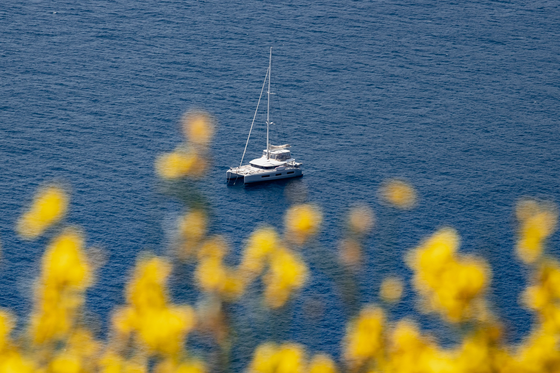 A sailing boat spotted from the "inland" route between Riomaggiore and Manarola.