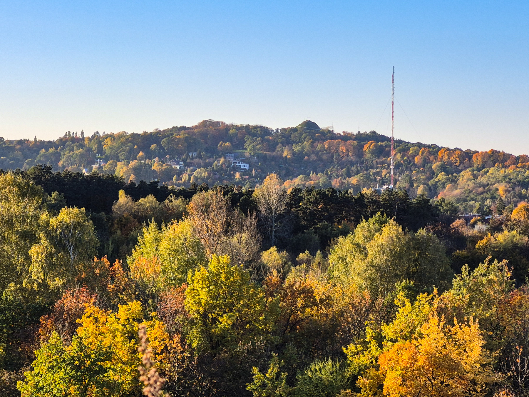 View to Kopiec Kościuszki (artificial mound) from Zakrzówek, October 2025.