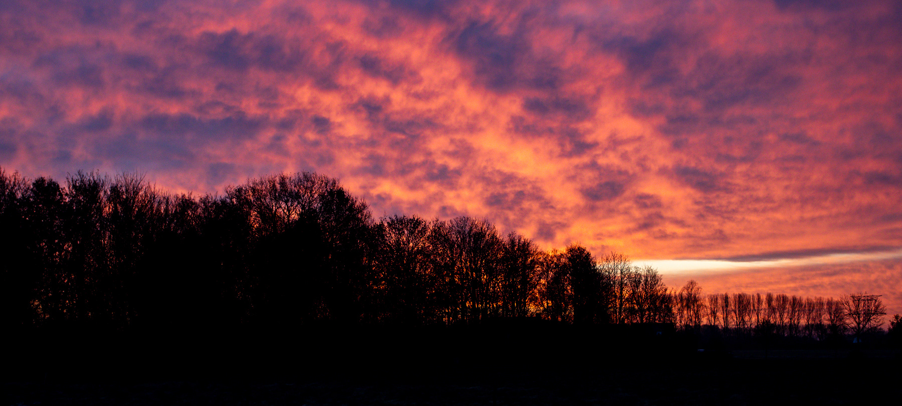 Sunset over the tree line in rural Zeeland