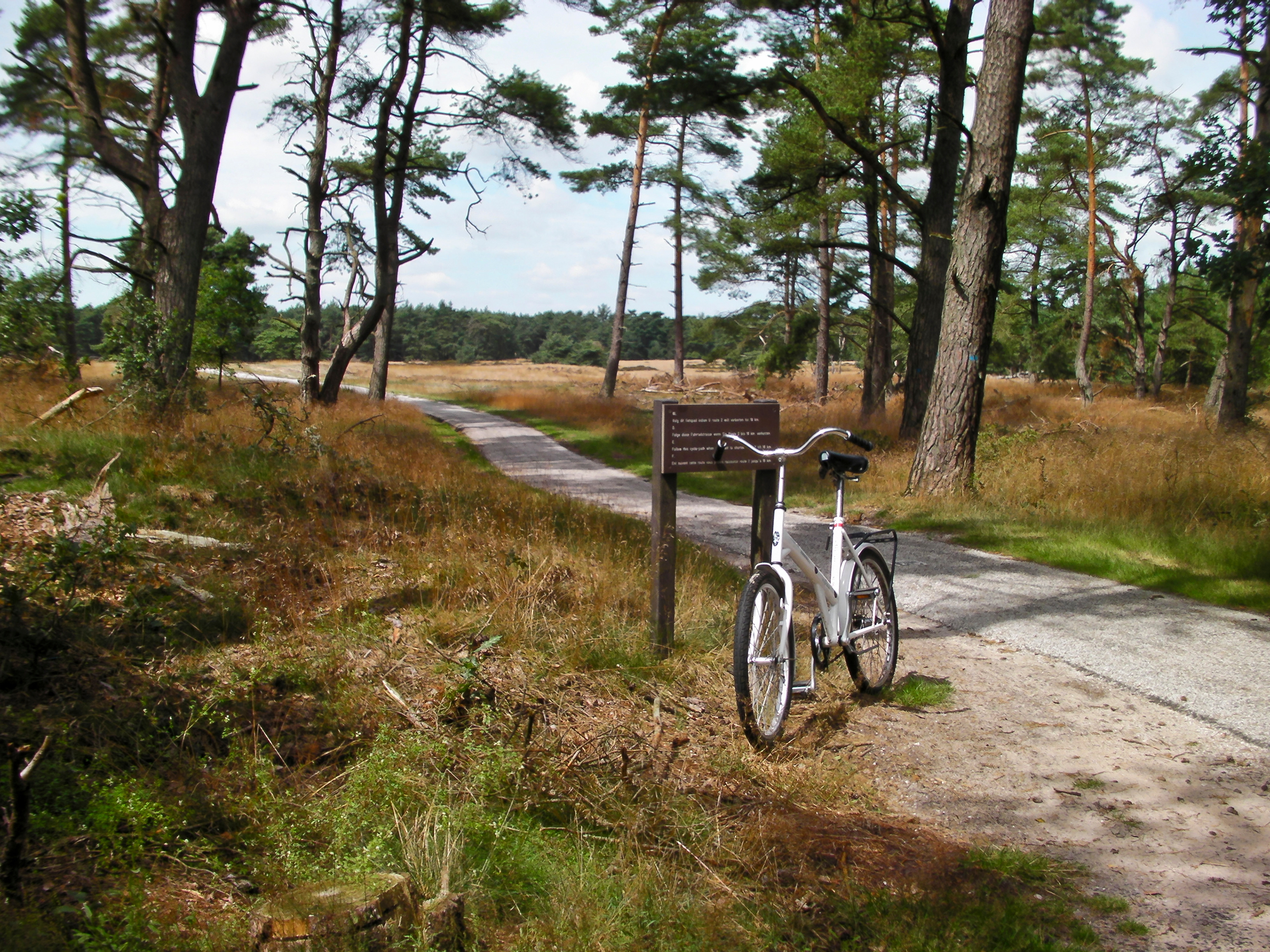A white bicycle in National Park De Hoge Veluwe